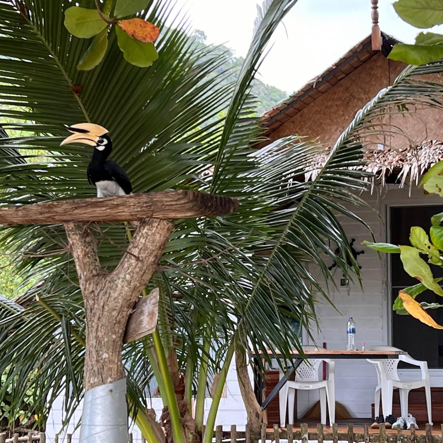 Cover Image for Koh Phaluai beach cottage