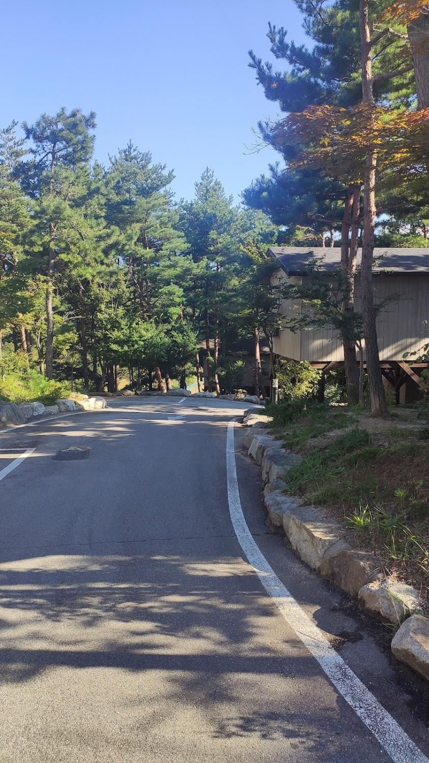 Cover Image for 주성리조트