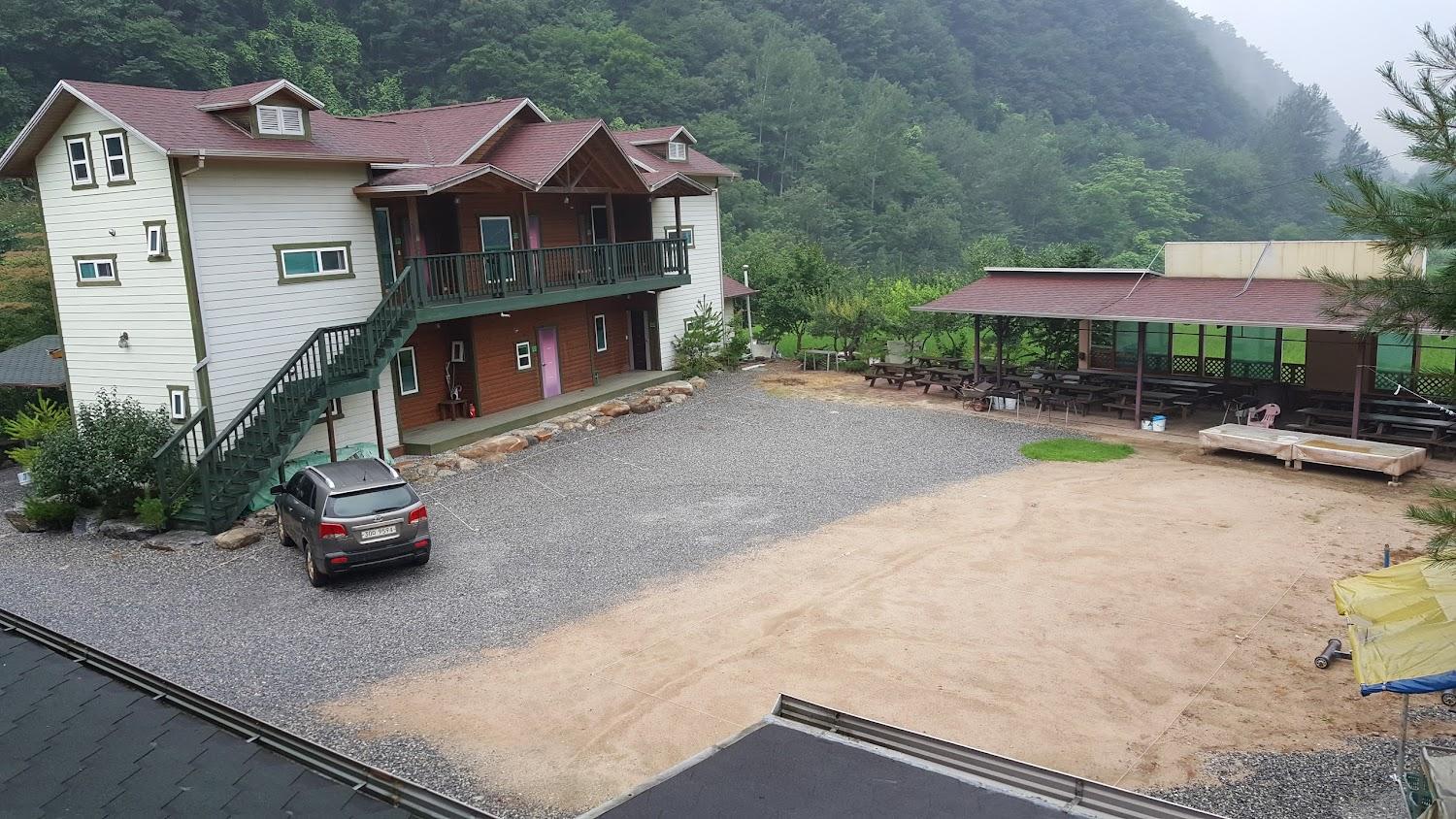Cover Image for 숲속의하루