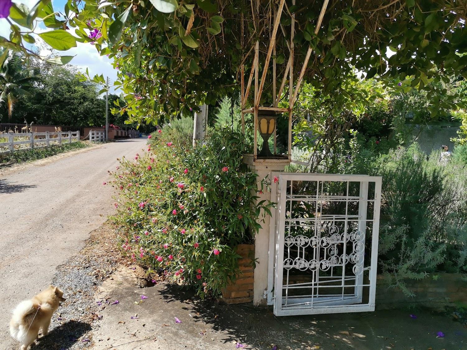 Cover Image for Rosemary House : บ้านสวนโรสแมรี่