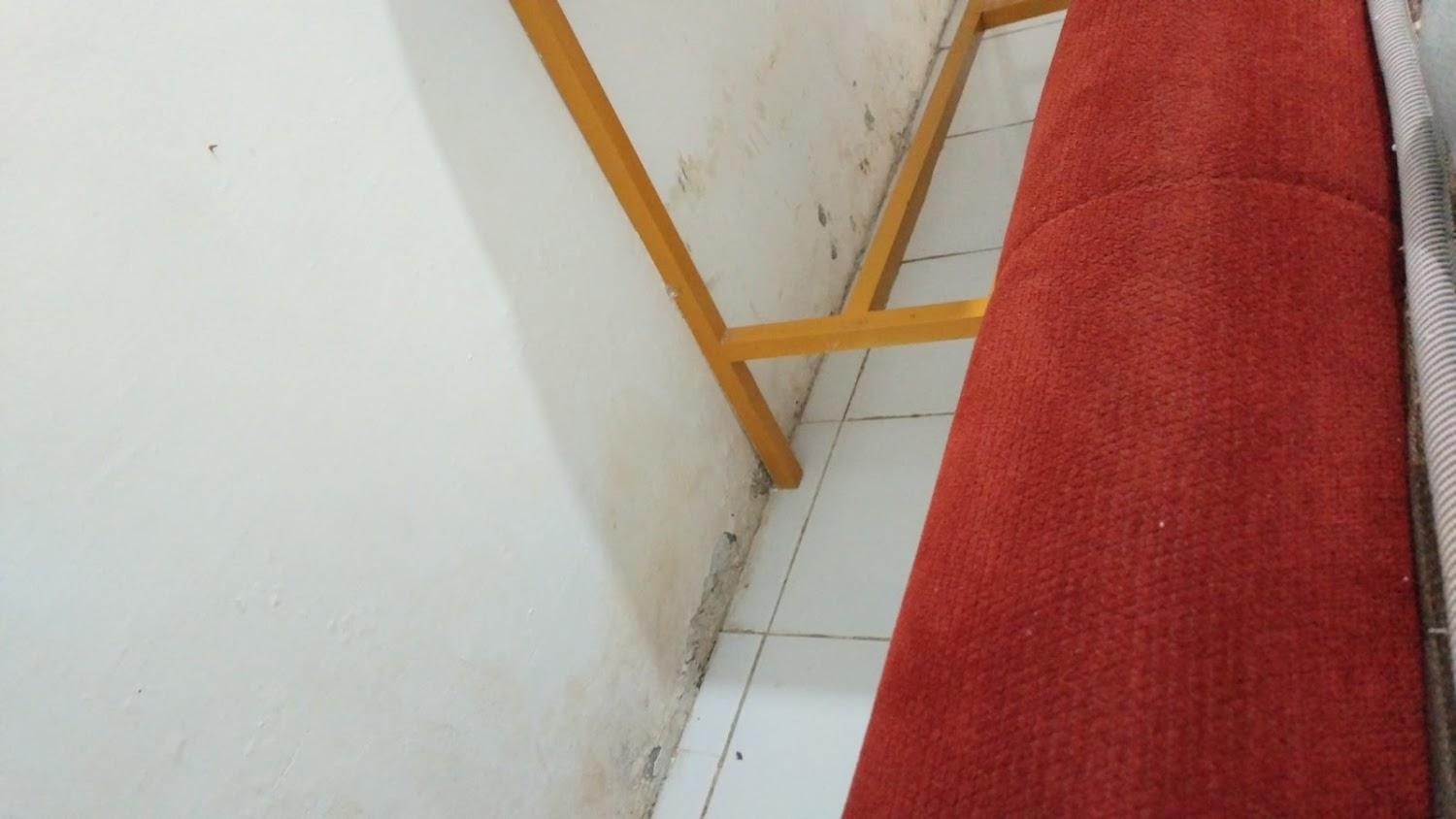 Cover Image for SPOT ON 90586 Hagawa Syariah Homestay