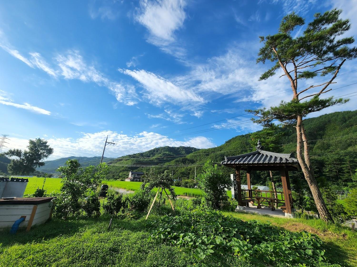 Cover Image for 노실풀펜션