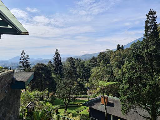 Cover Image for Puncak Pass Resort