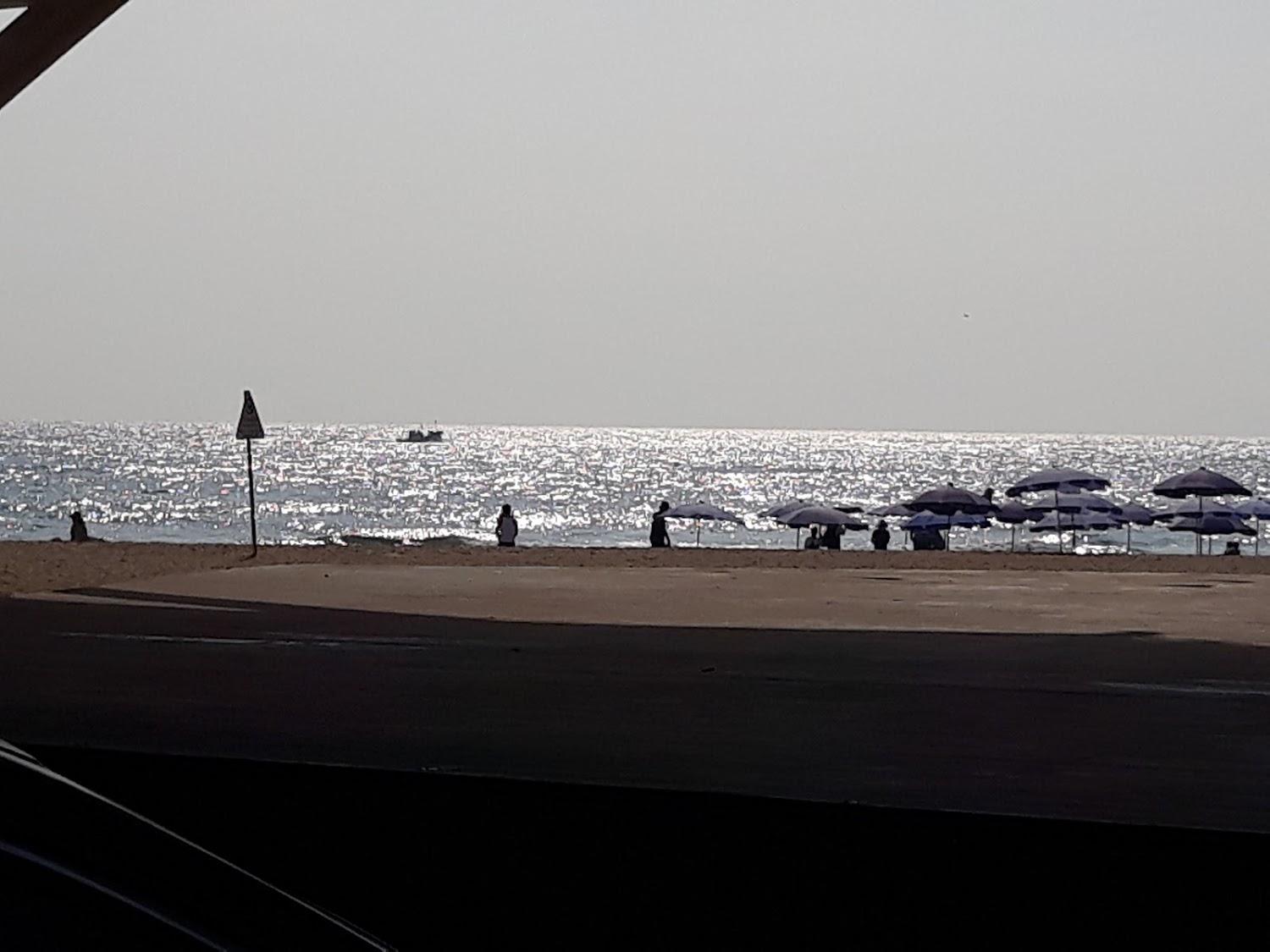 Cover Image for 대궐파크