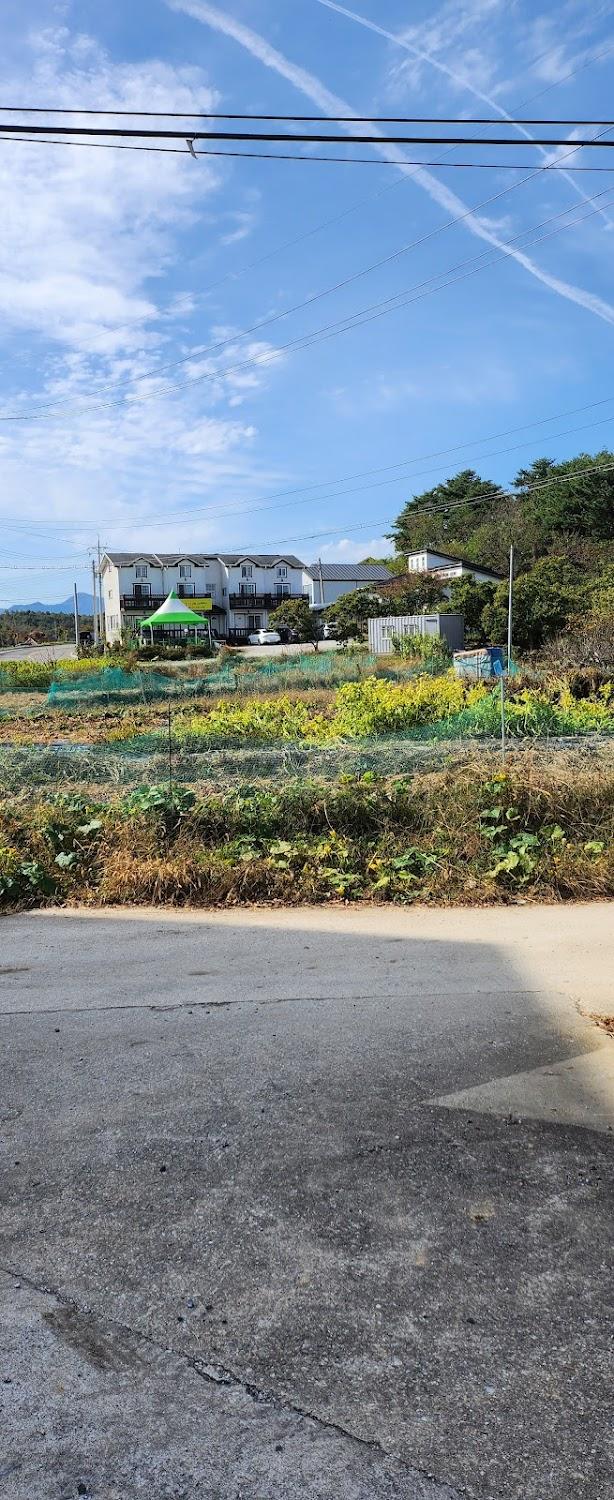 Cover Image for 수와래펜션