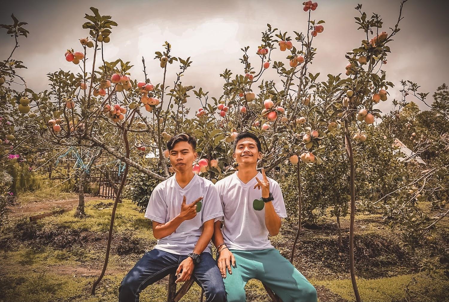 Cover Image for Pondok pelangi sembalun