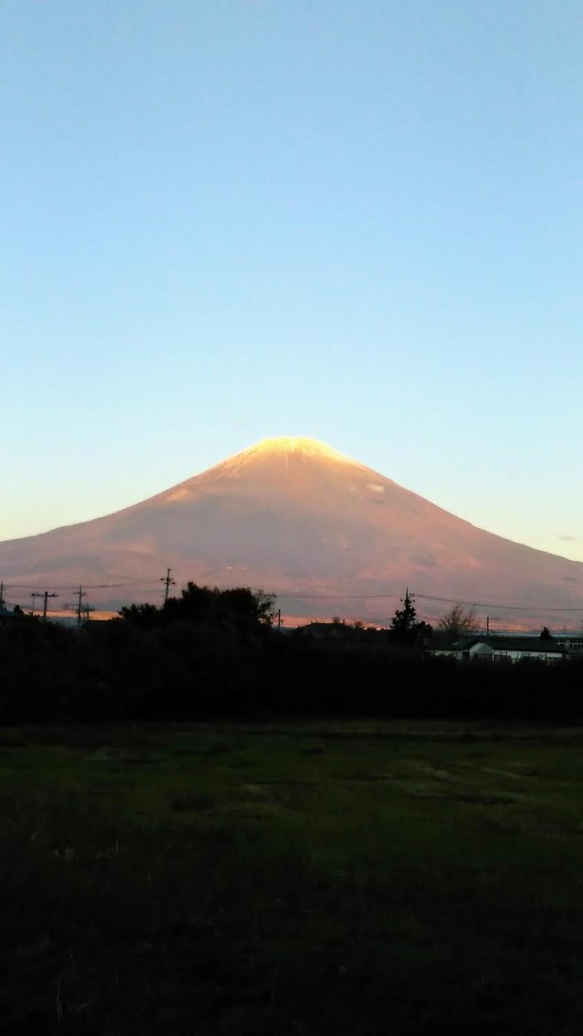 Cover Image for ほのぼの ホテル