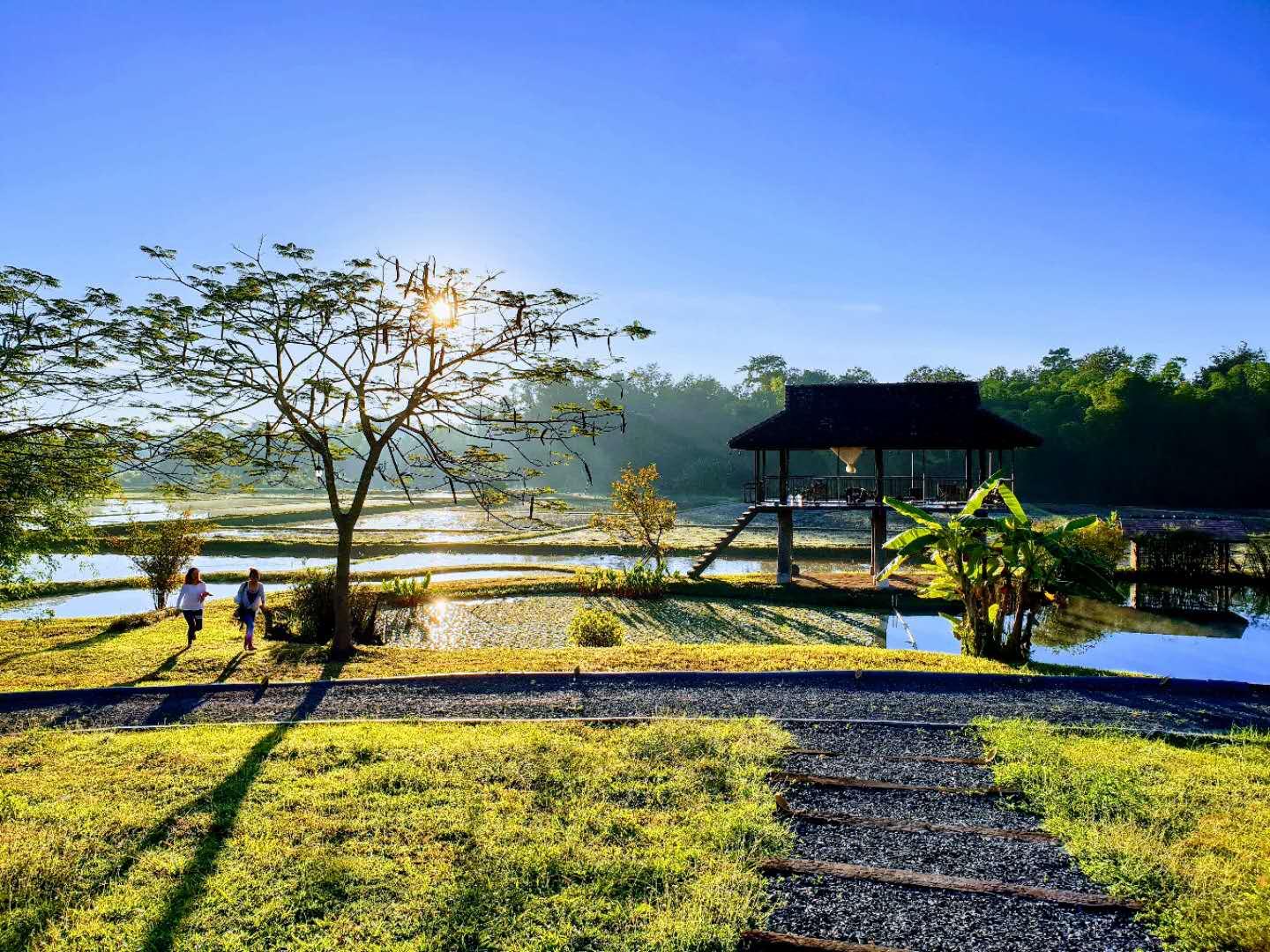 Cover Image for The Govinda Farm