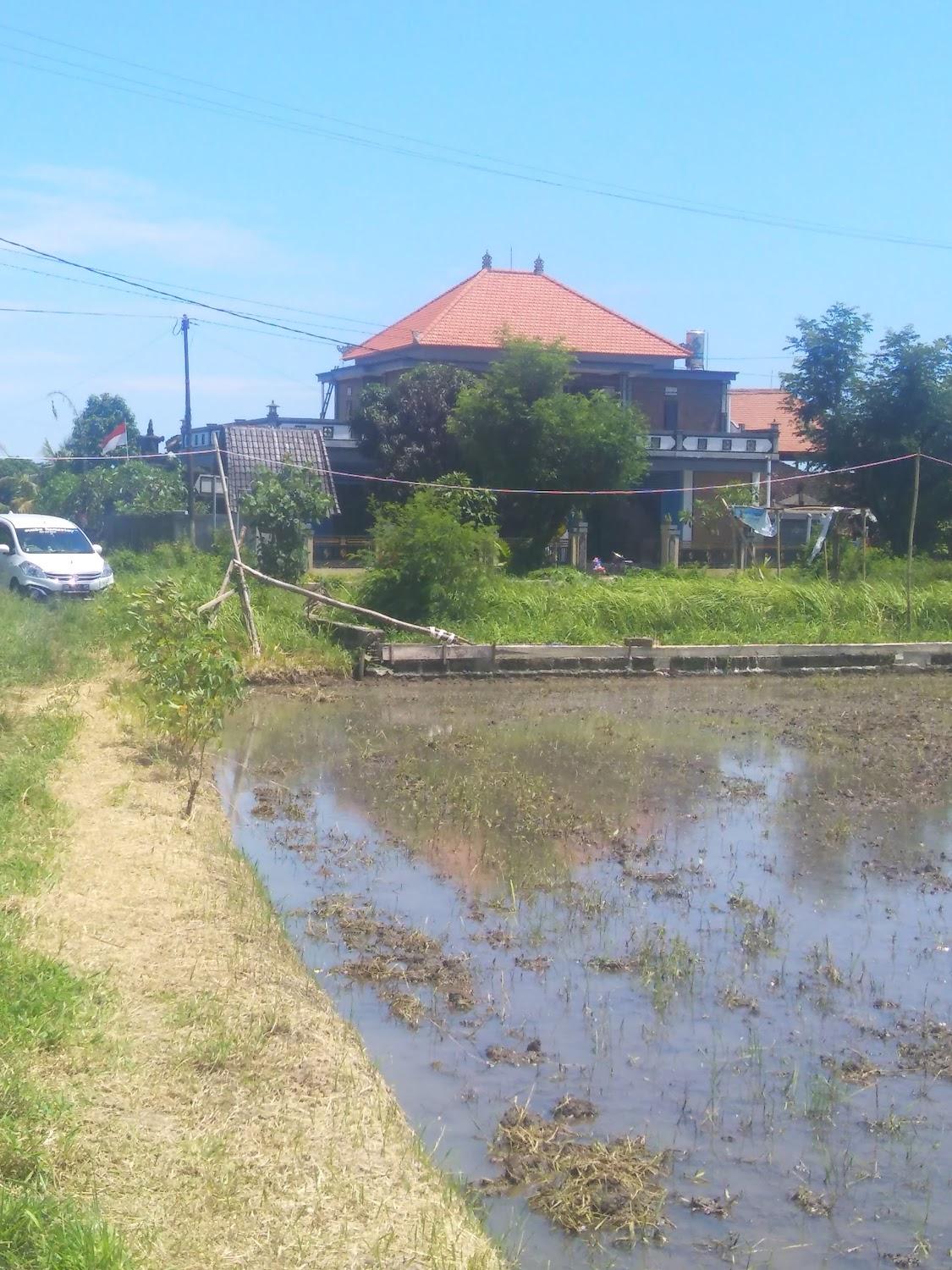 Cover Image for Kelating Guest House