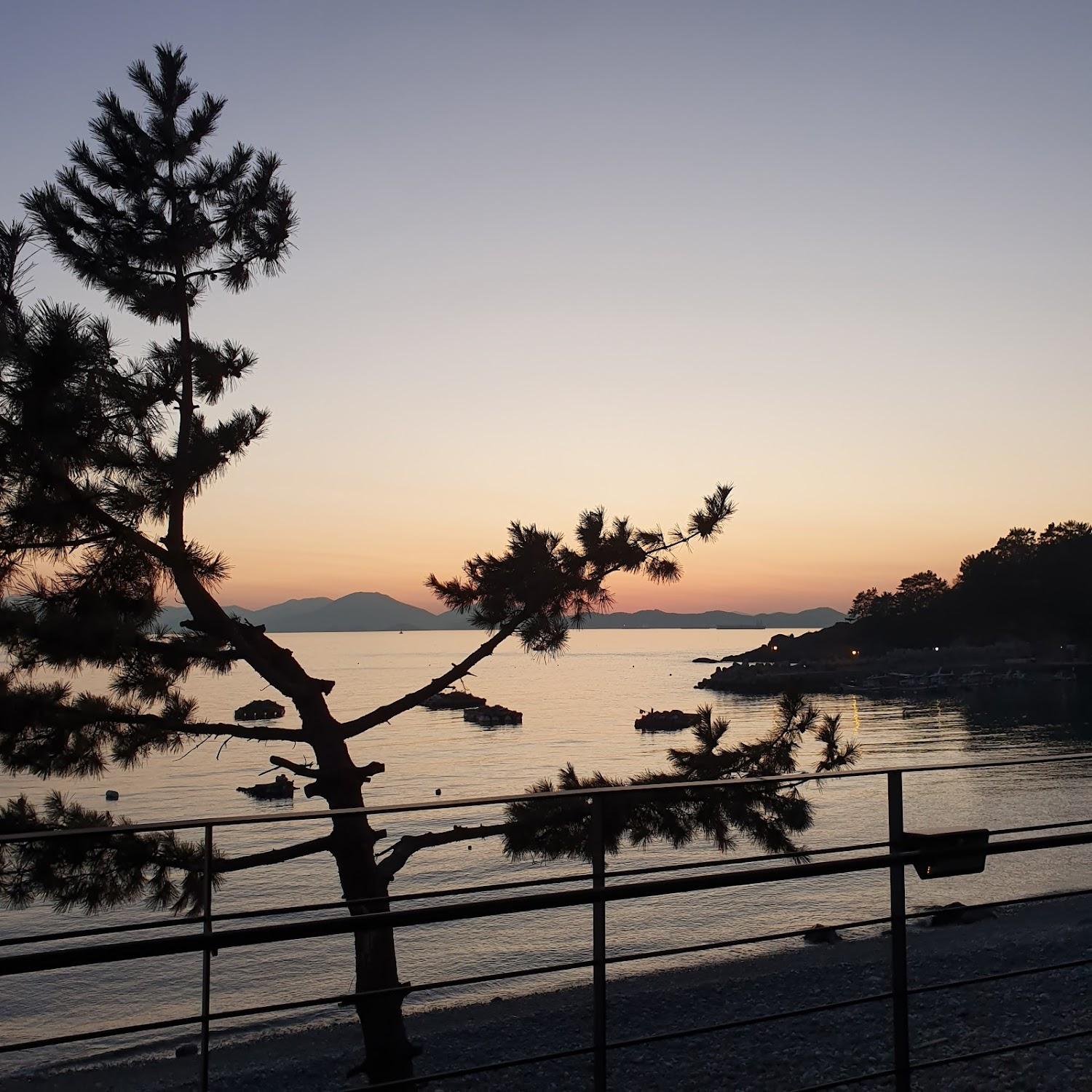 Cover Image for 까미노펜션