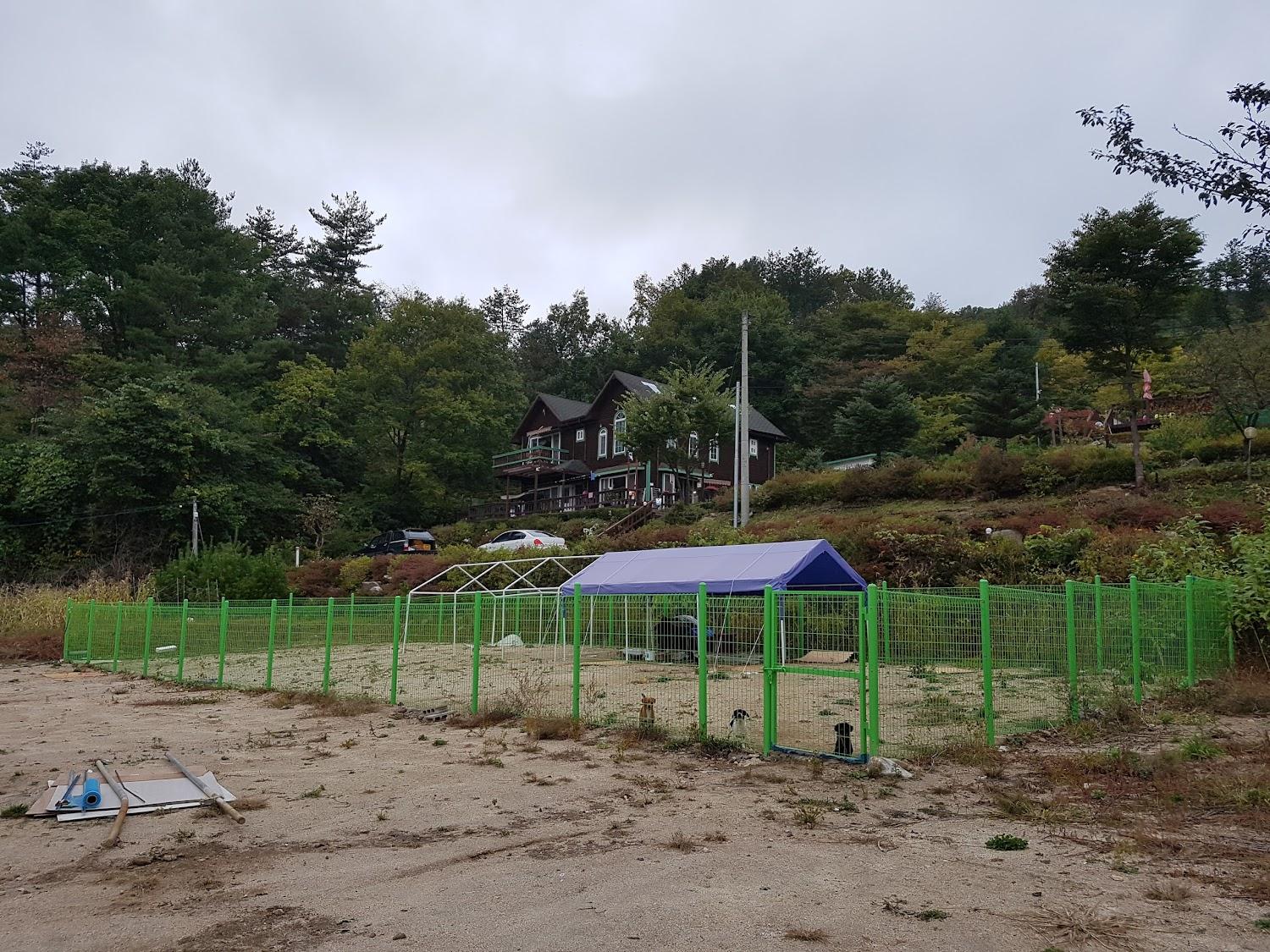 Cover Image for 엘리스펜션