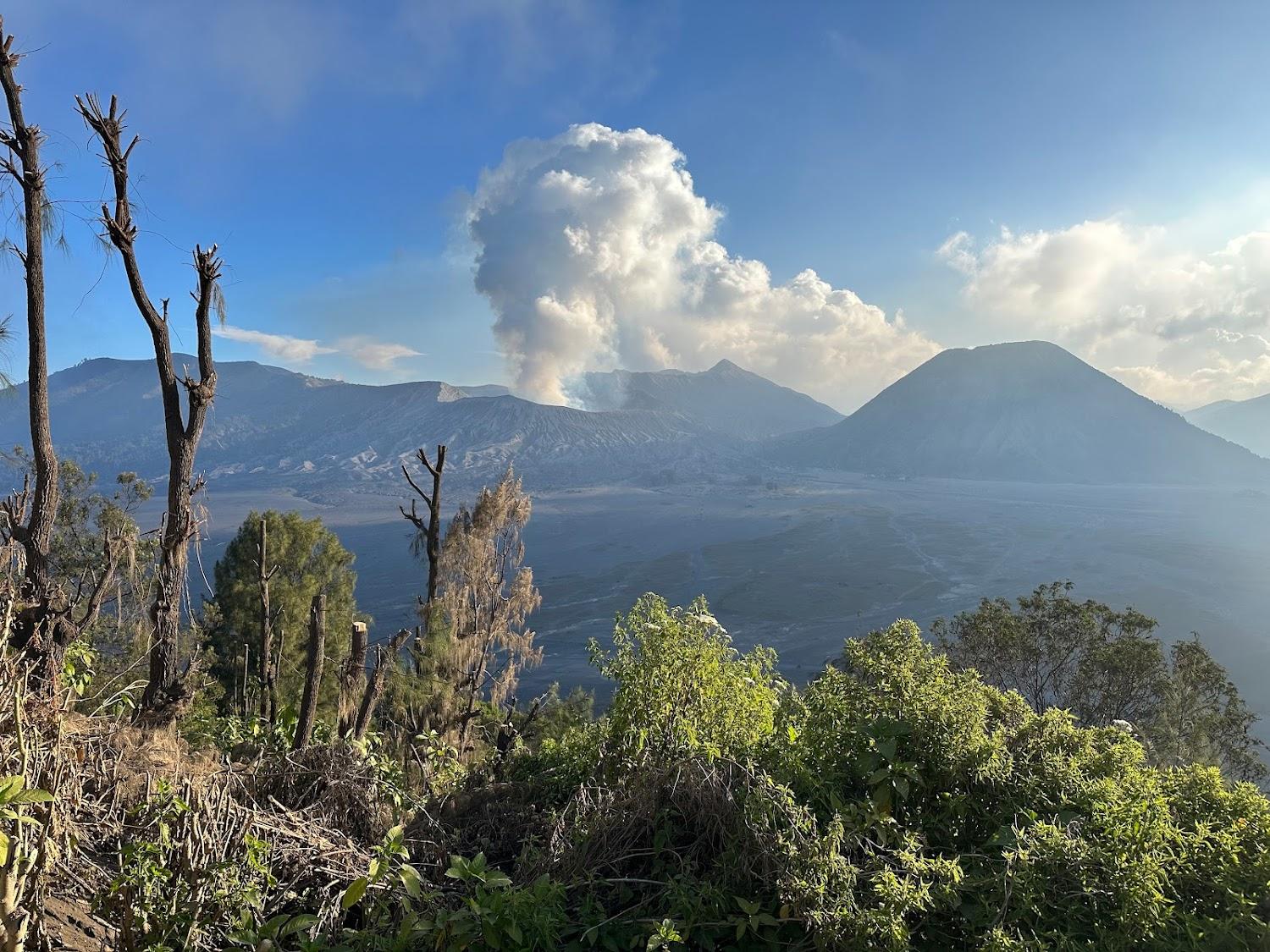 Cover Image for Lava View Lodge Hotel