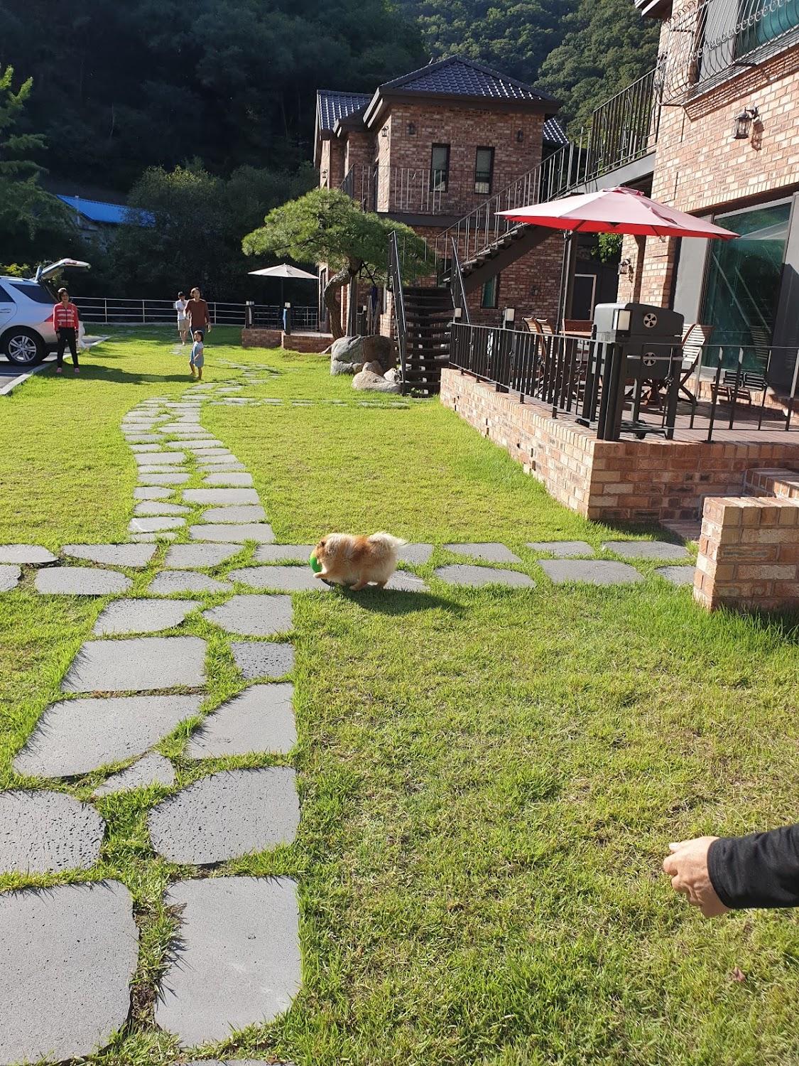 Cover Image for 수류화개원
