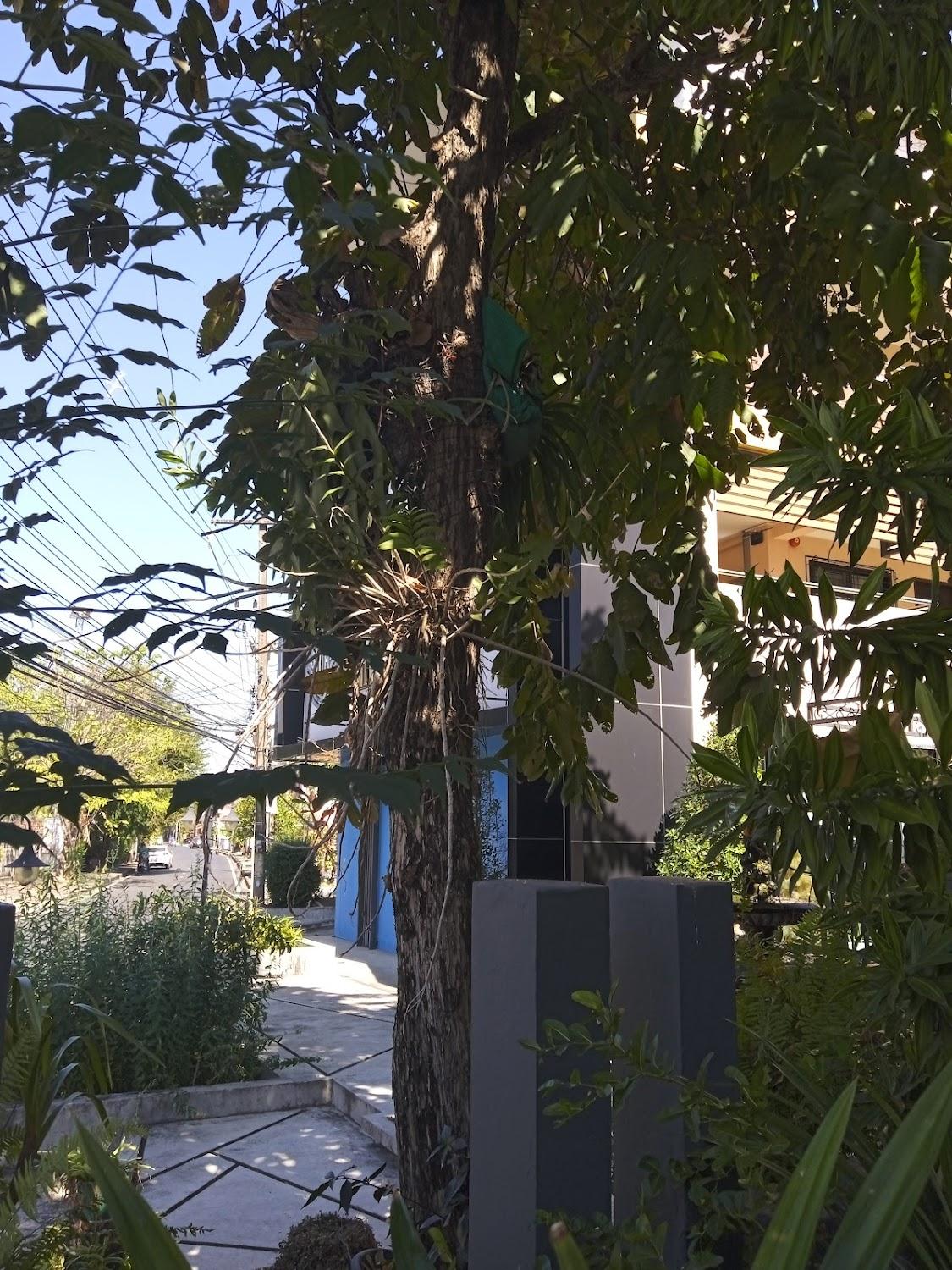 Cover Image for Unity Hotel