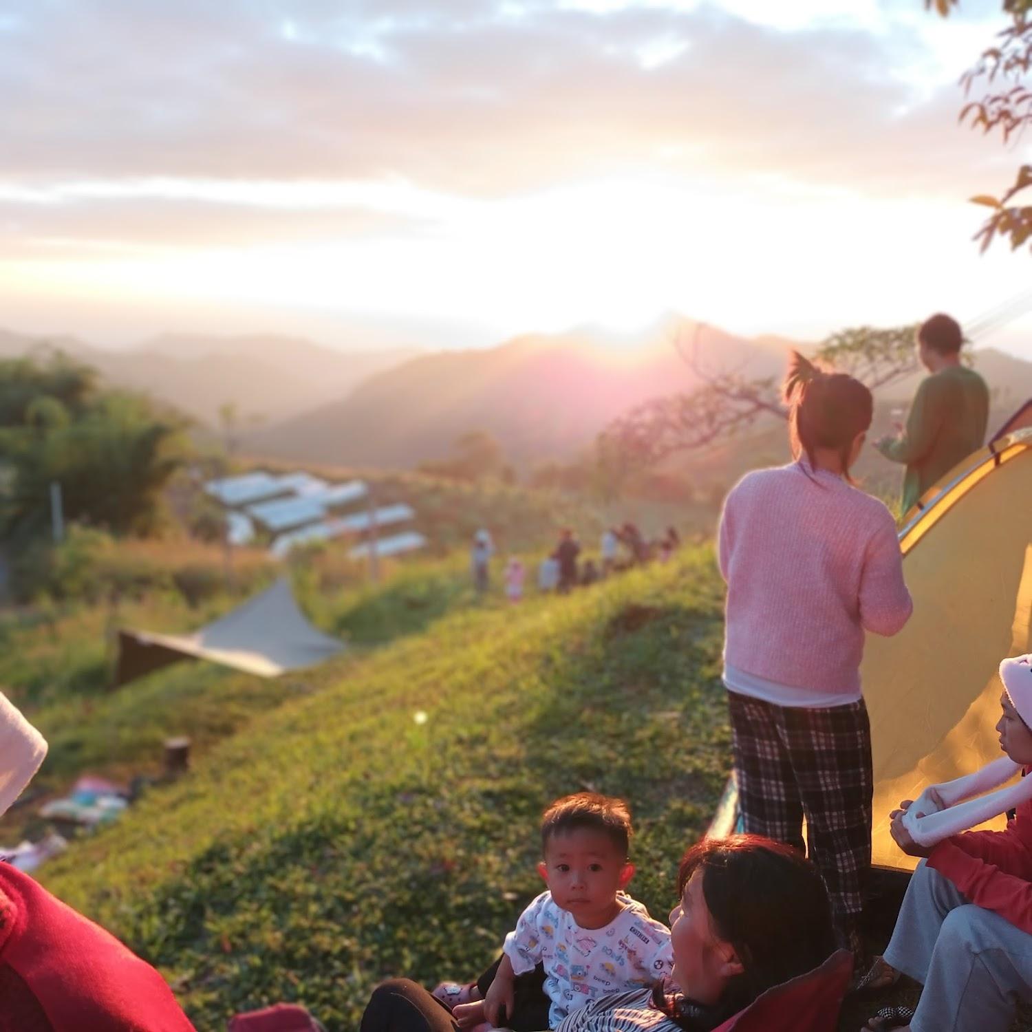 Cover Image for ภูเพชรลดารีสอร์ต อำเภอ เขาค้อ เพชรบูรณ์