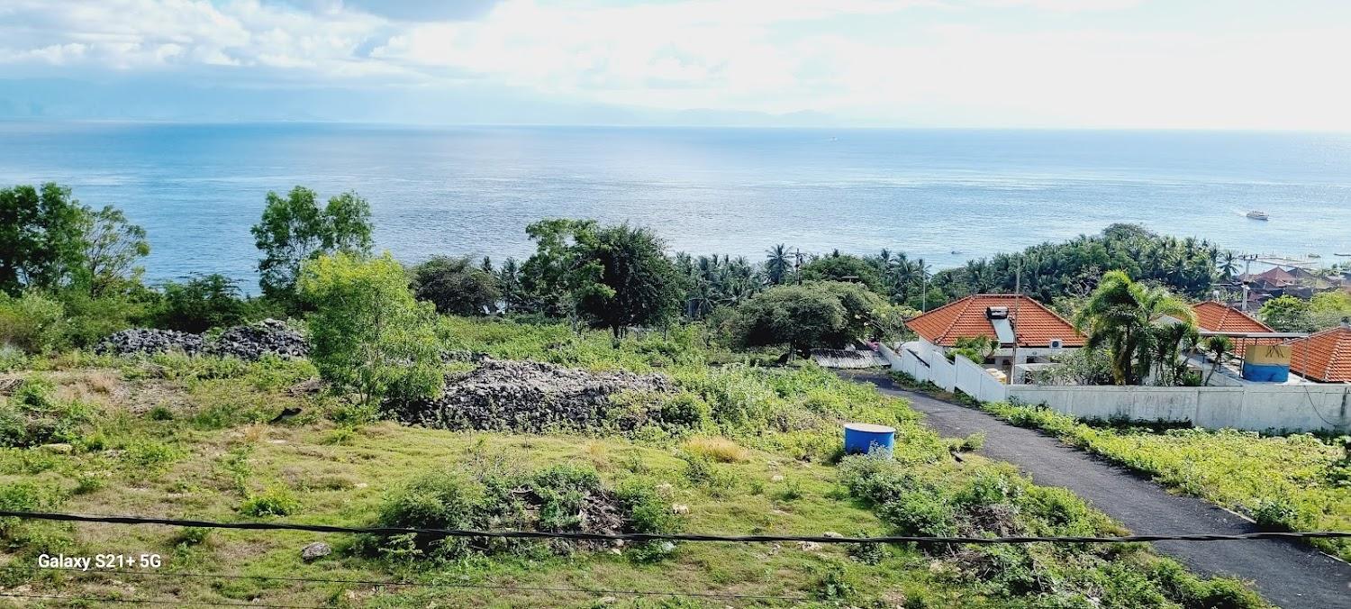 Cover Image for D Artha Cottage