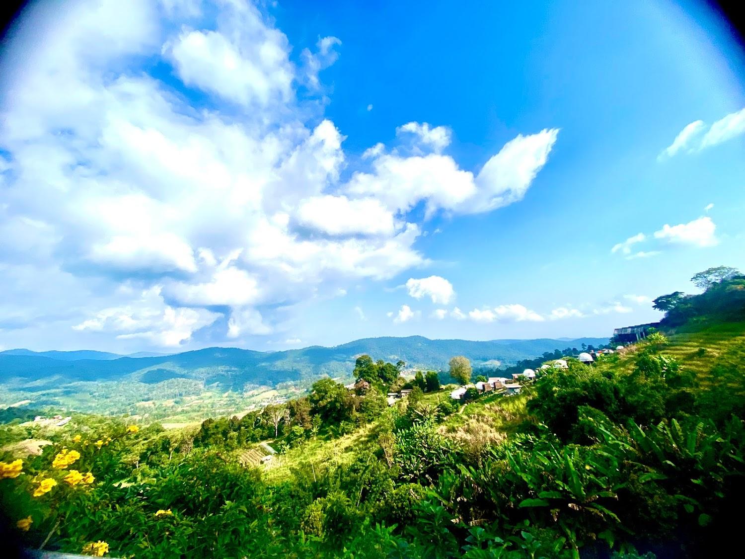 Cover Image for ม่อนแสงระวี
