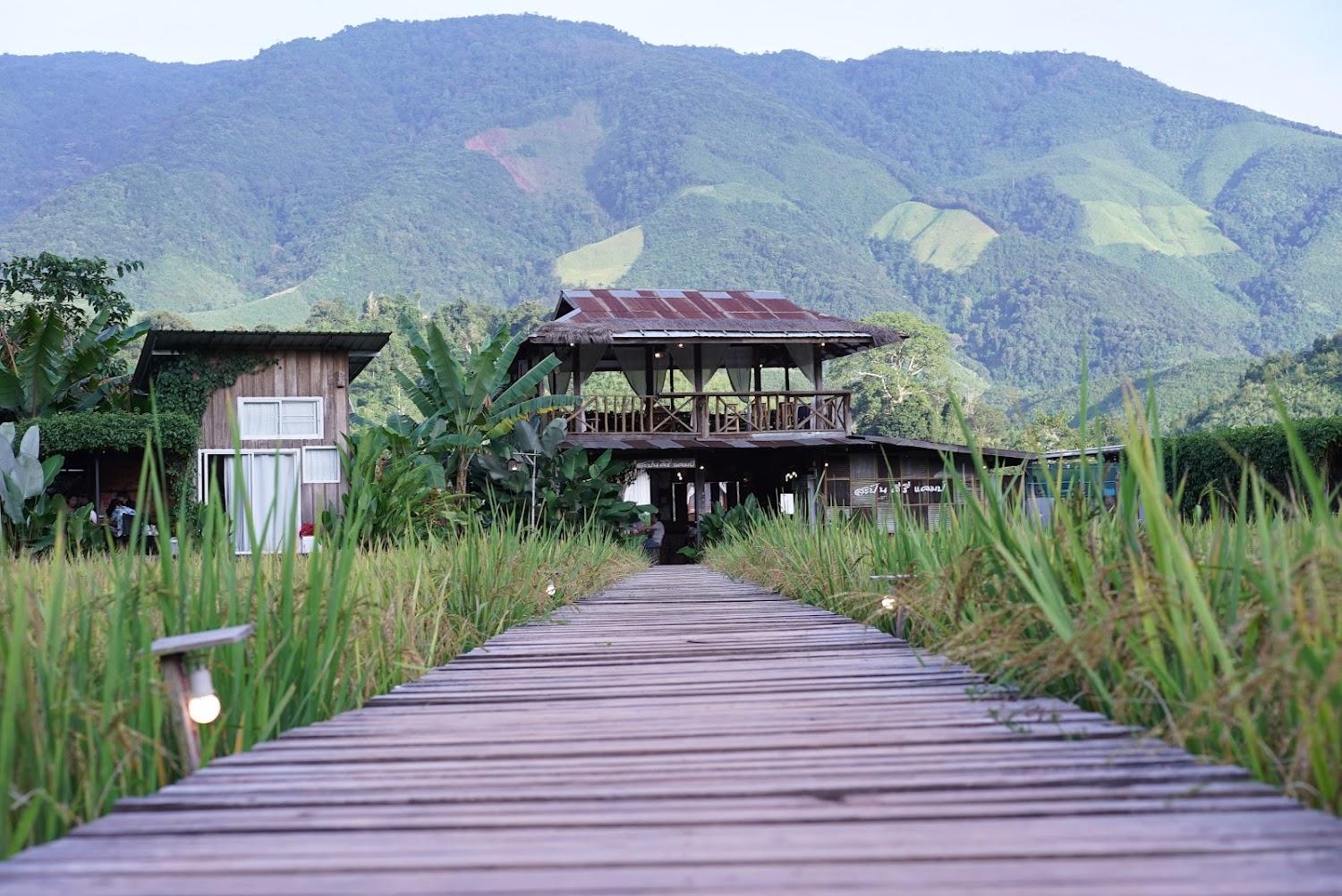 Cover Image for Sapan See View