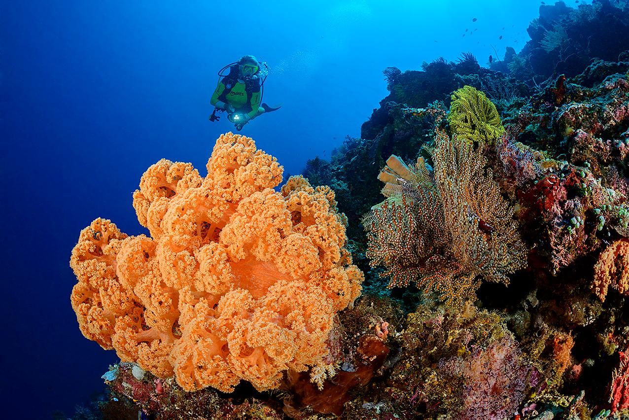 Cover Image for Siladen Resort & Spa