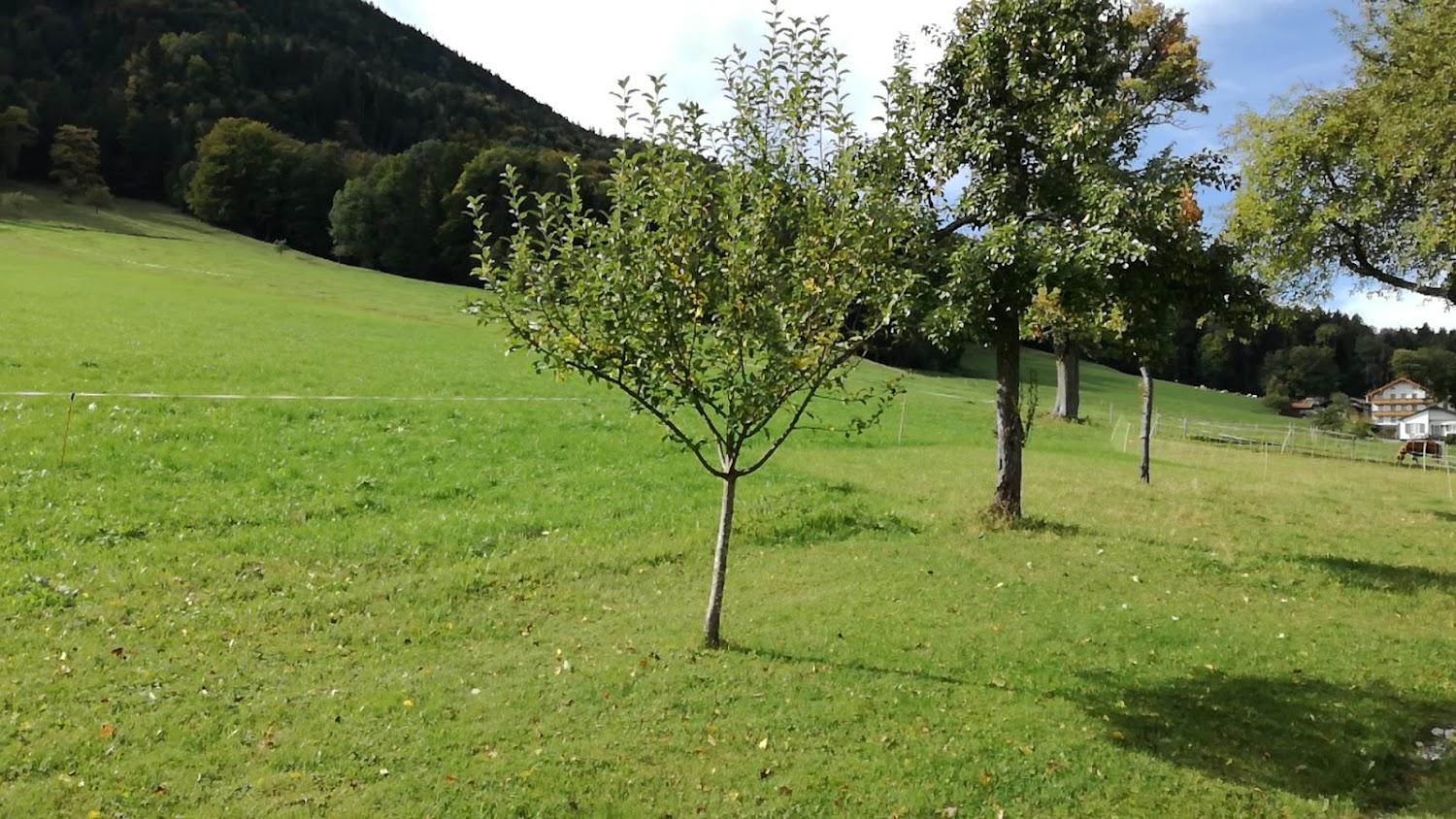 Cover Image for Ablingerhof