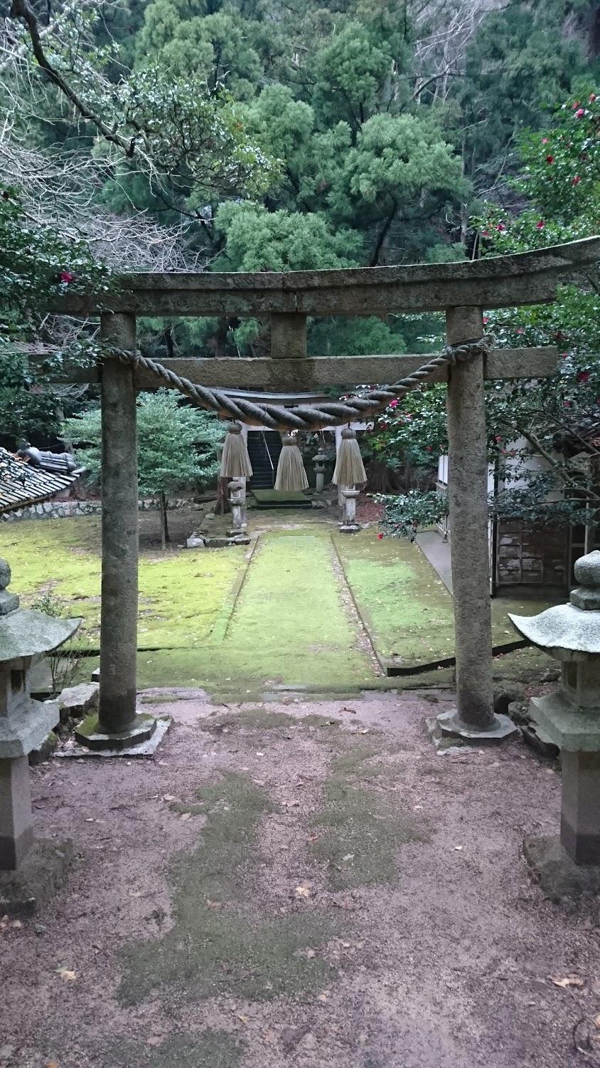 Cover Image for Hashimoto