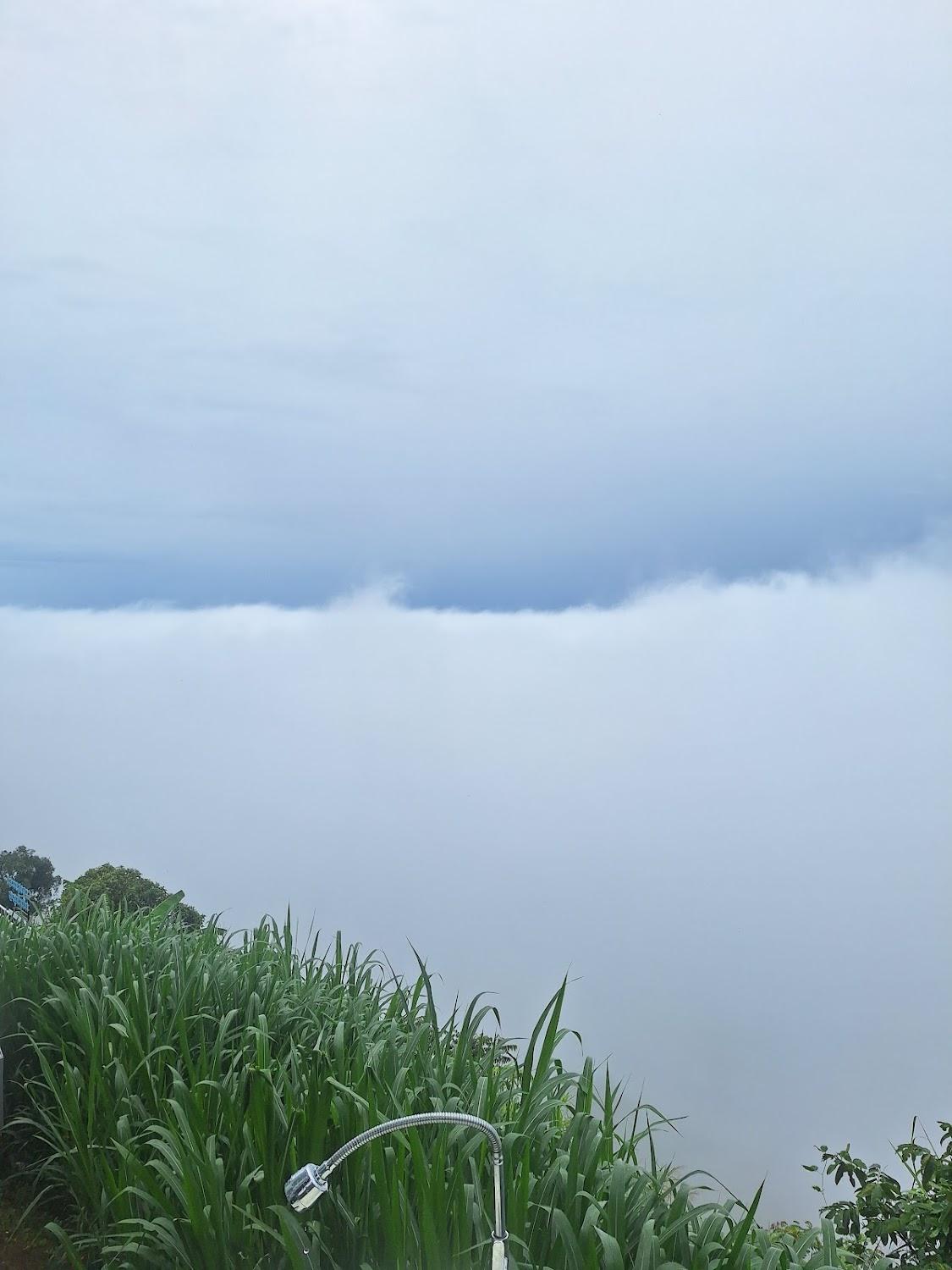 Cover Image for ไปเขา ภูทับเบิก Paikhao Phu Thap Boek