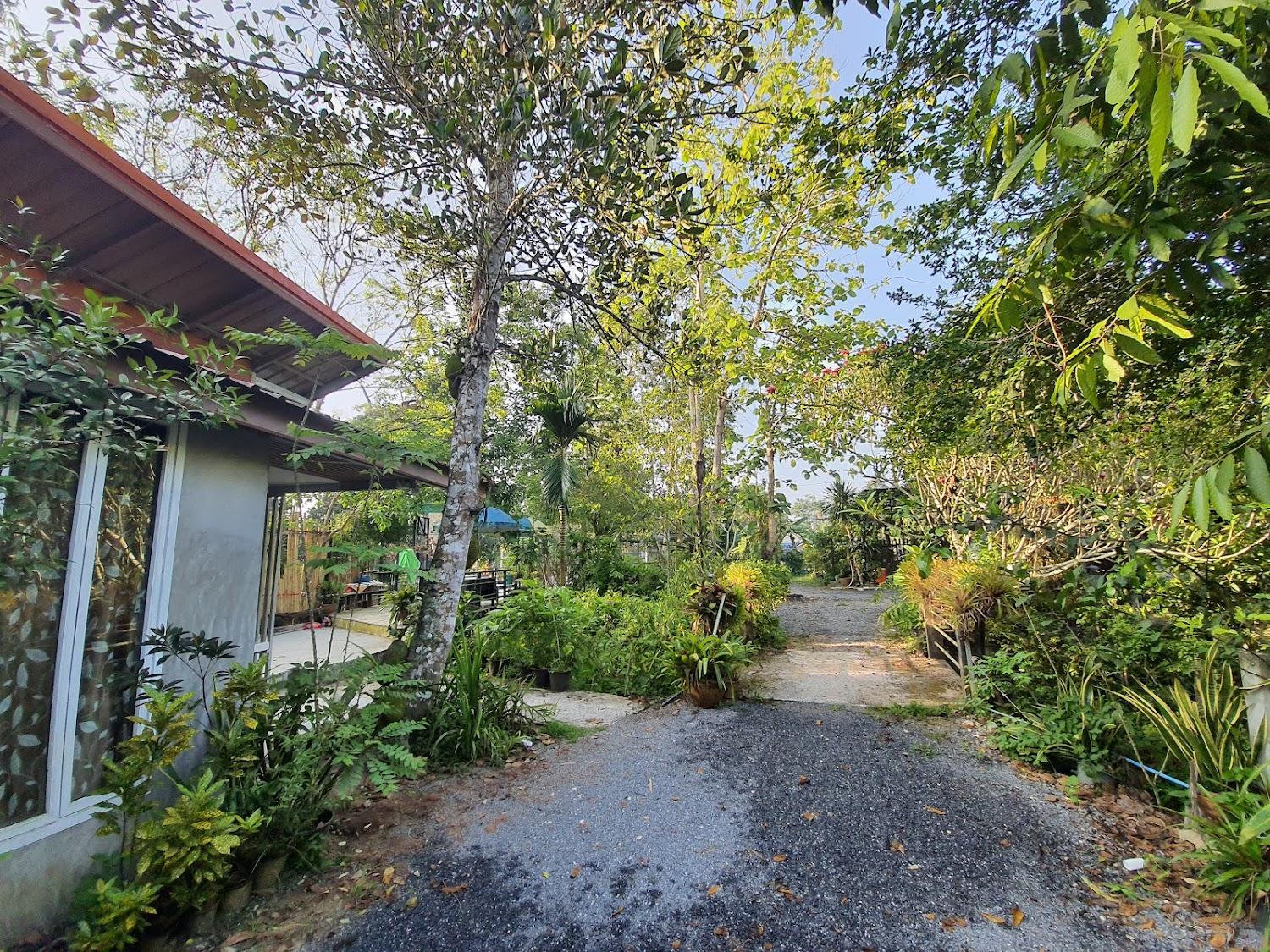 Cover Image for Baan Thabthong (บ้านทับทอง)