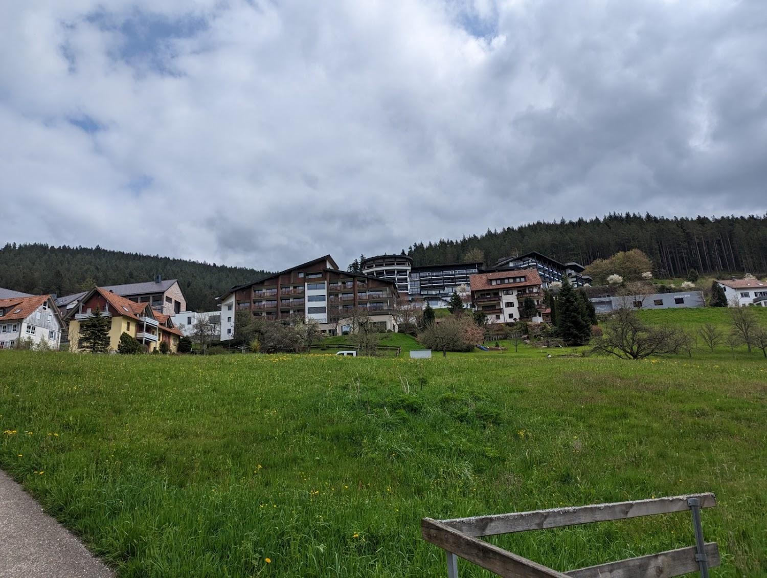 Cover Image for Tonbachtal