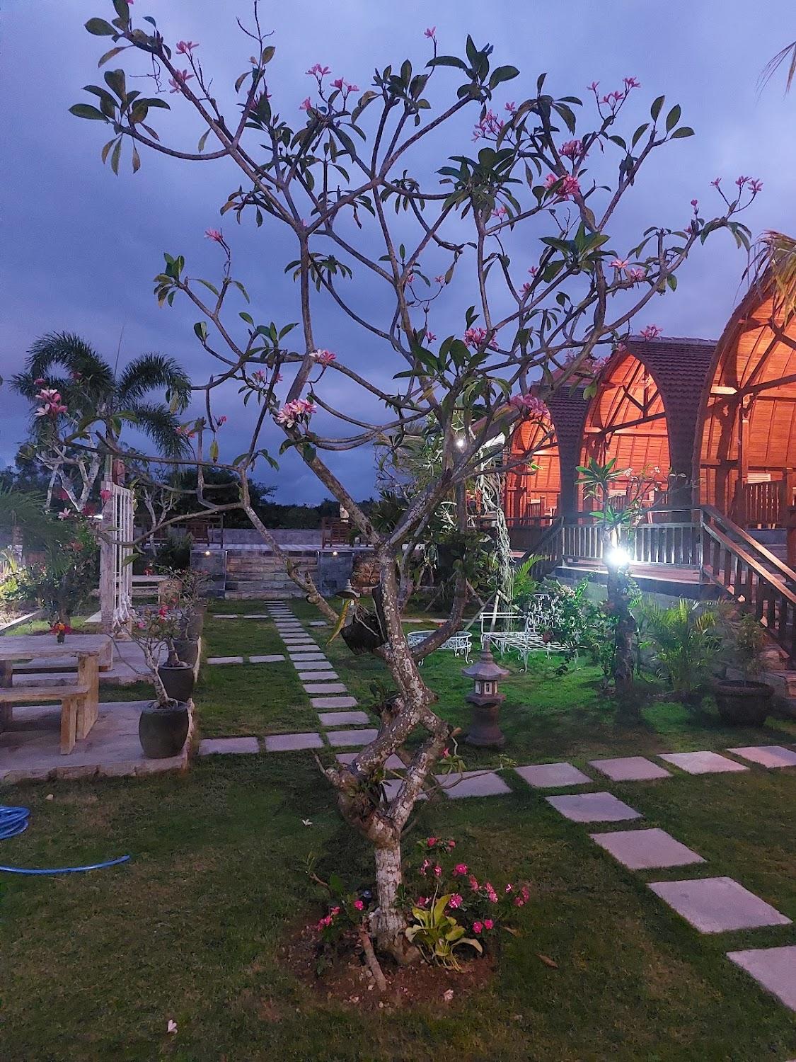 Cover Image for Innora Jungle Resort and Spa