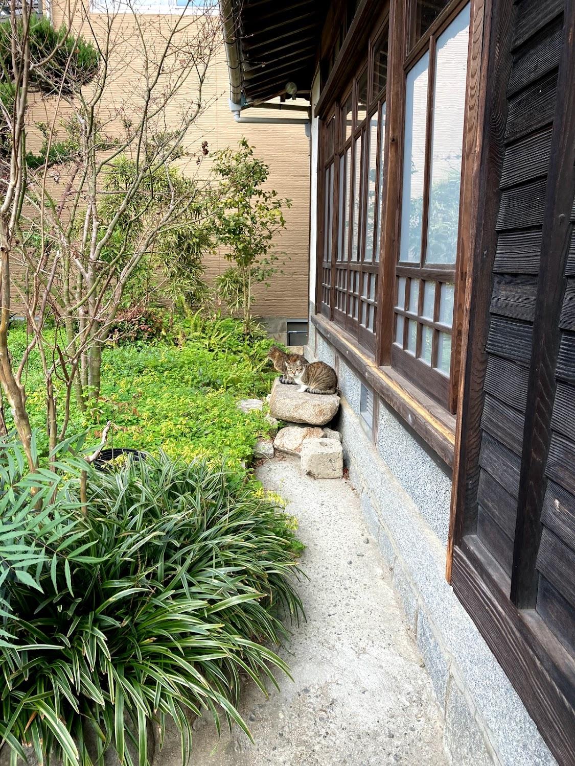 Cover Image for Shiomi House Island Village Hostel