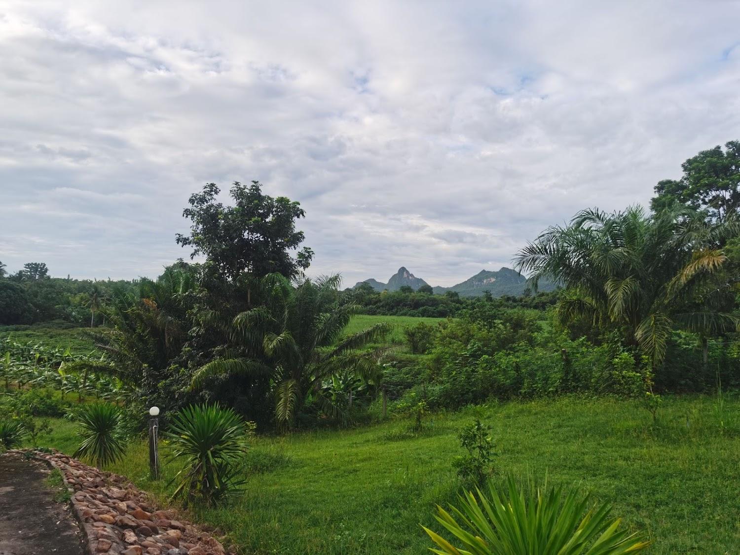 Cover Image for บ้านน้อย ชายน้ำ รีสอร์ท (BaanNoiChayNaamResort)​