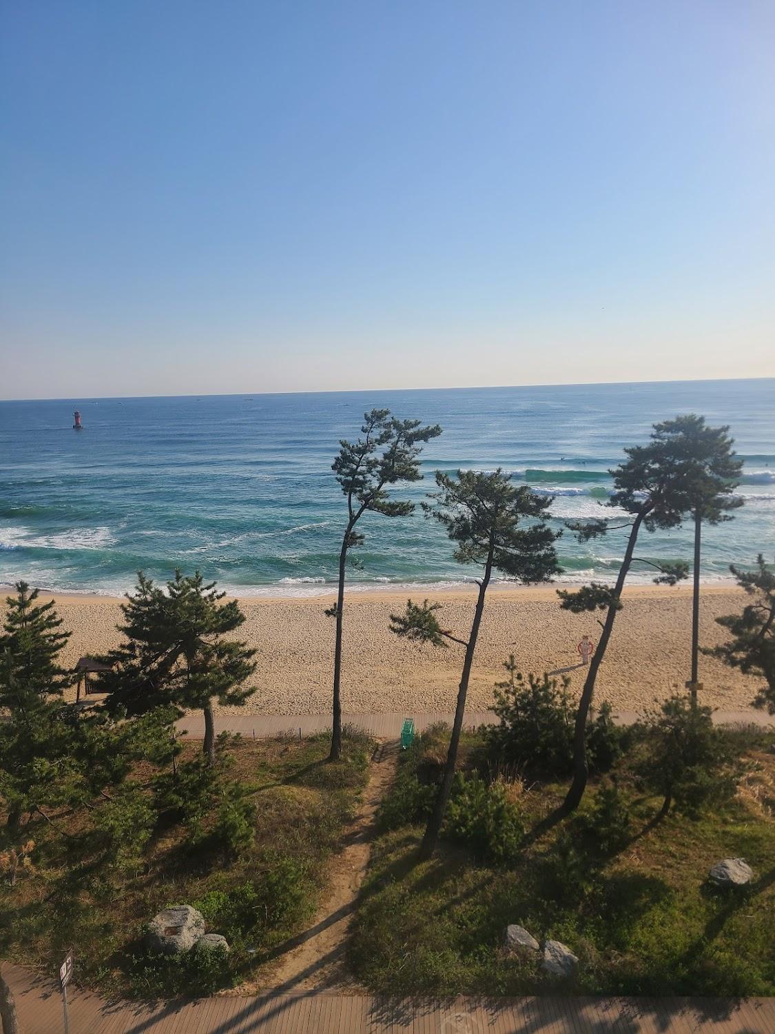 Cover Image for 강릉 호텔주노