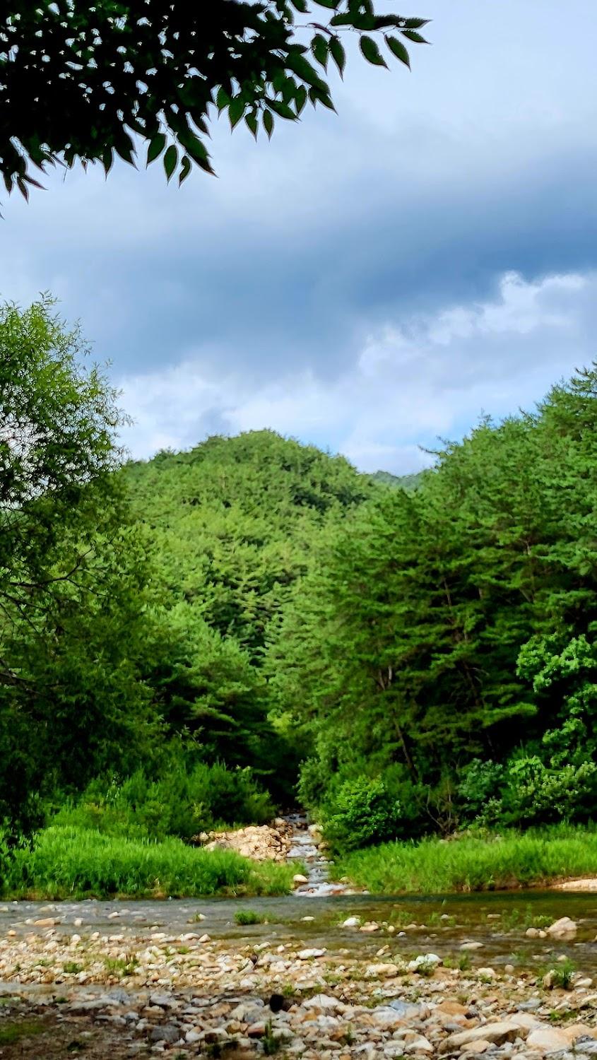 Cover Image for 온새미로야영민박