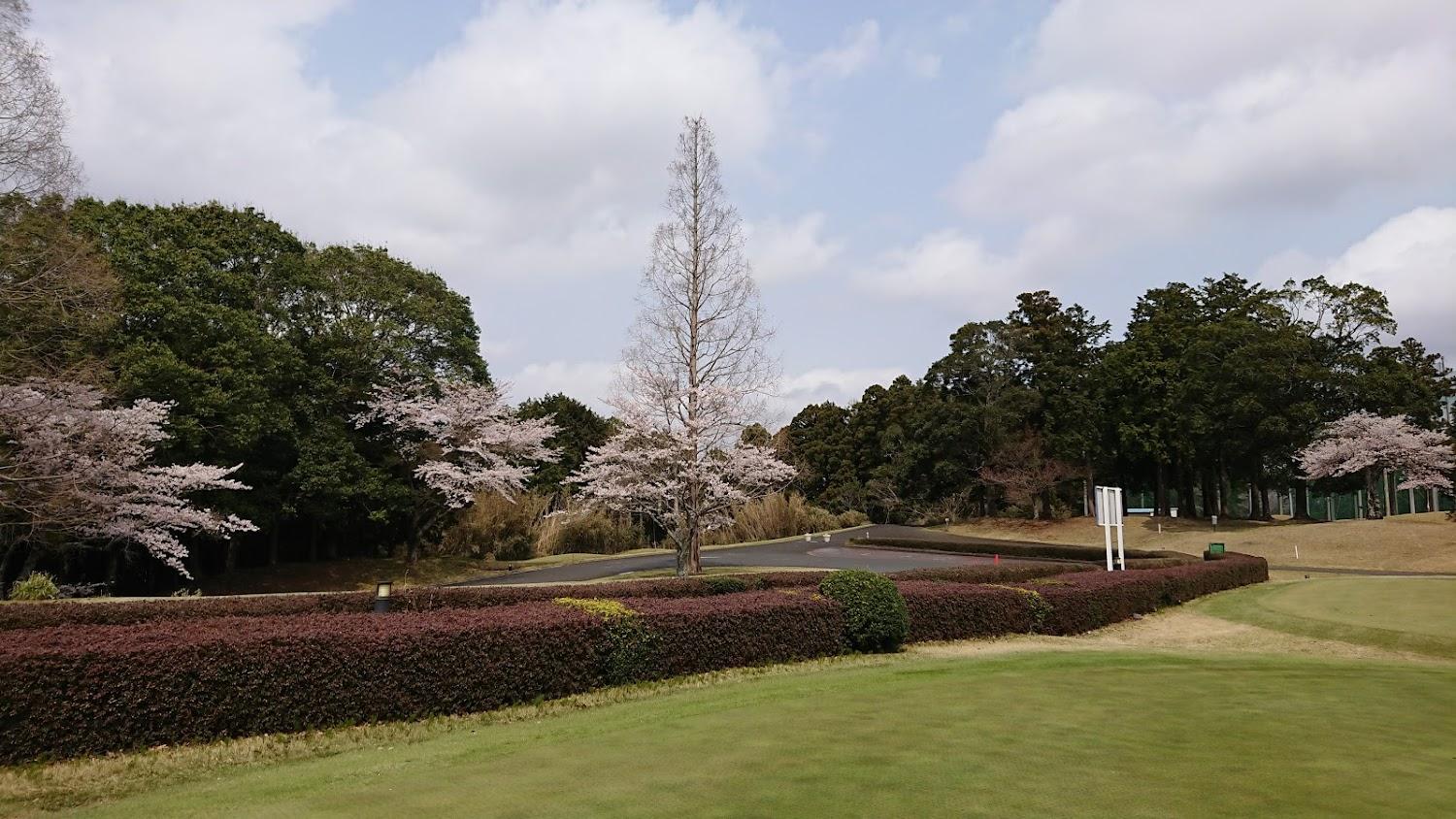 Cover Image for Naritanomori Country Club