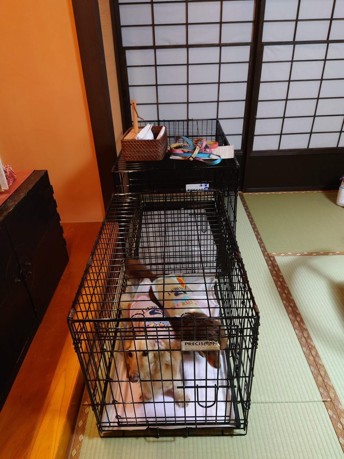 Cover Image for Kuretake Inn