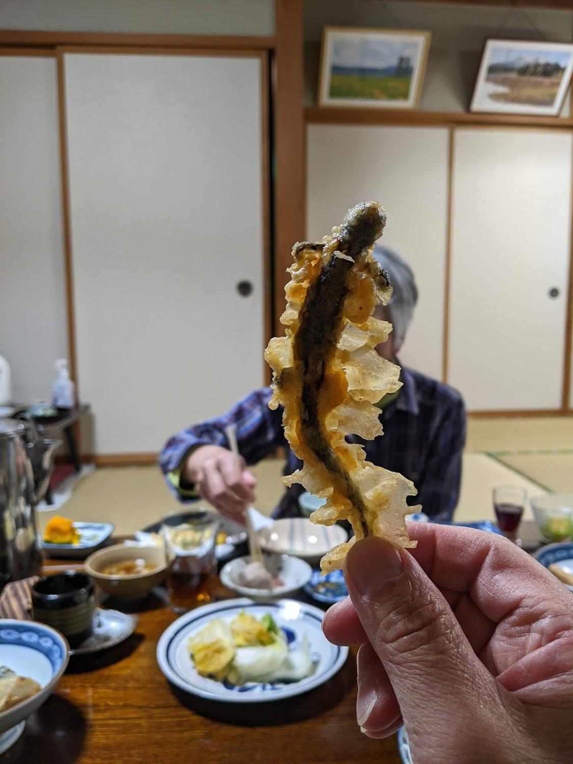 Cover Image for Hinokiya