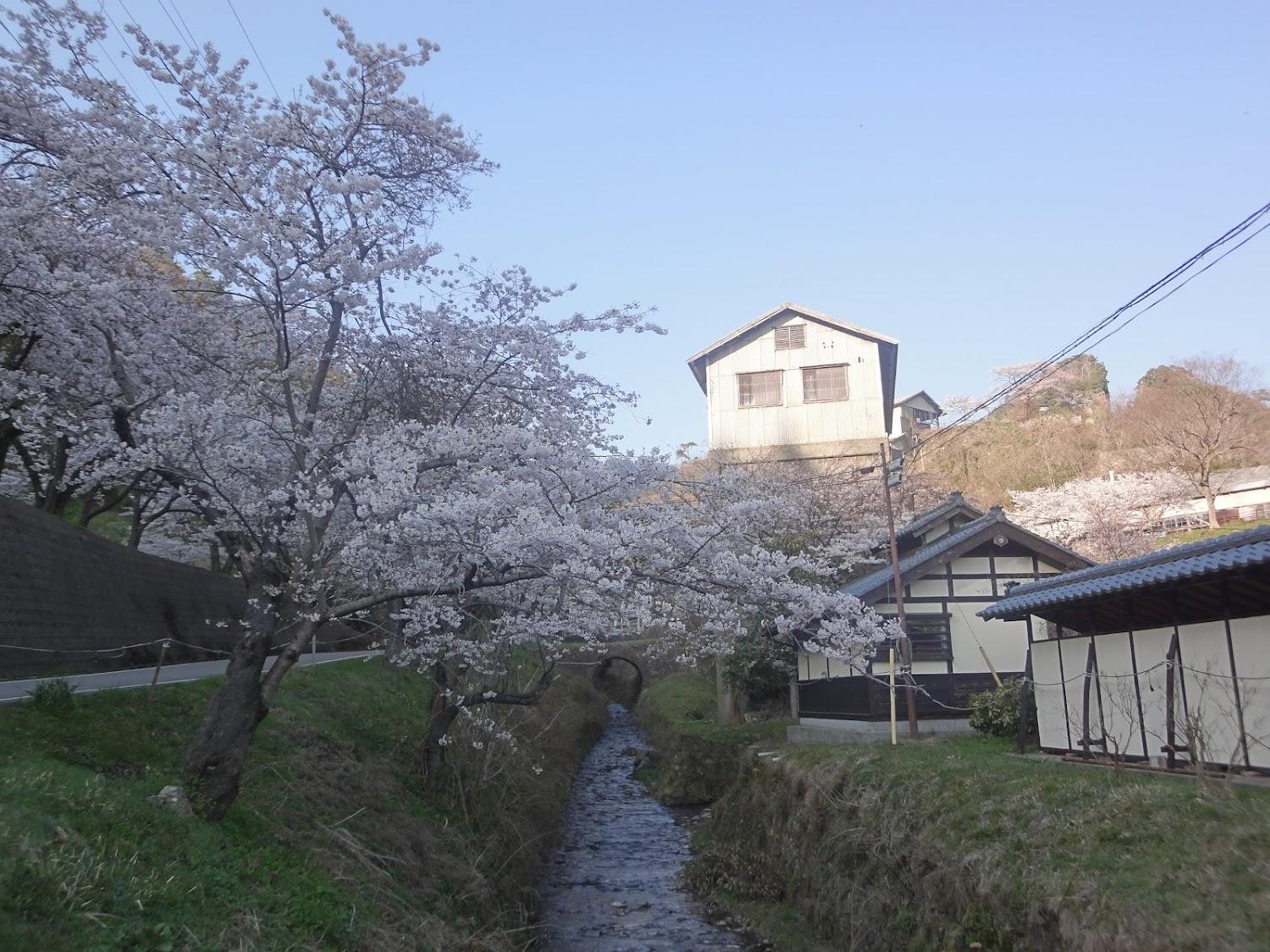 Cover Image for shizenshinyuu