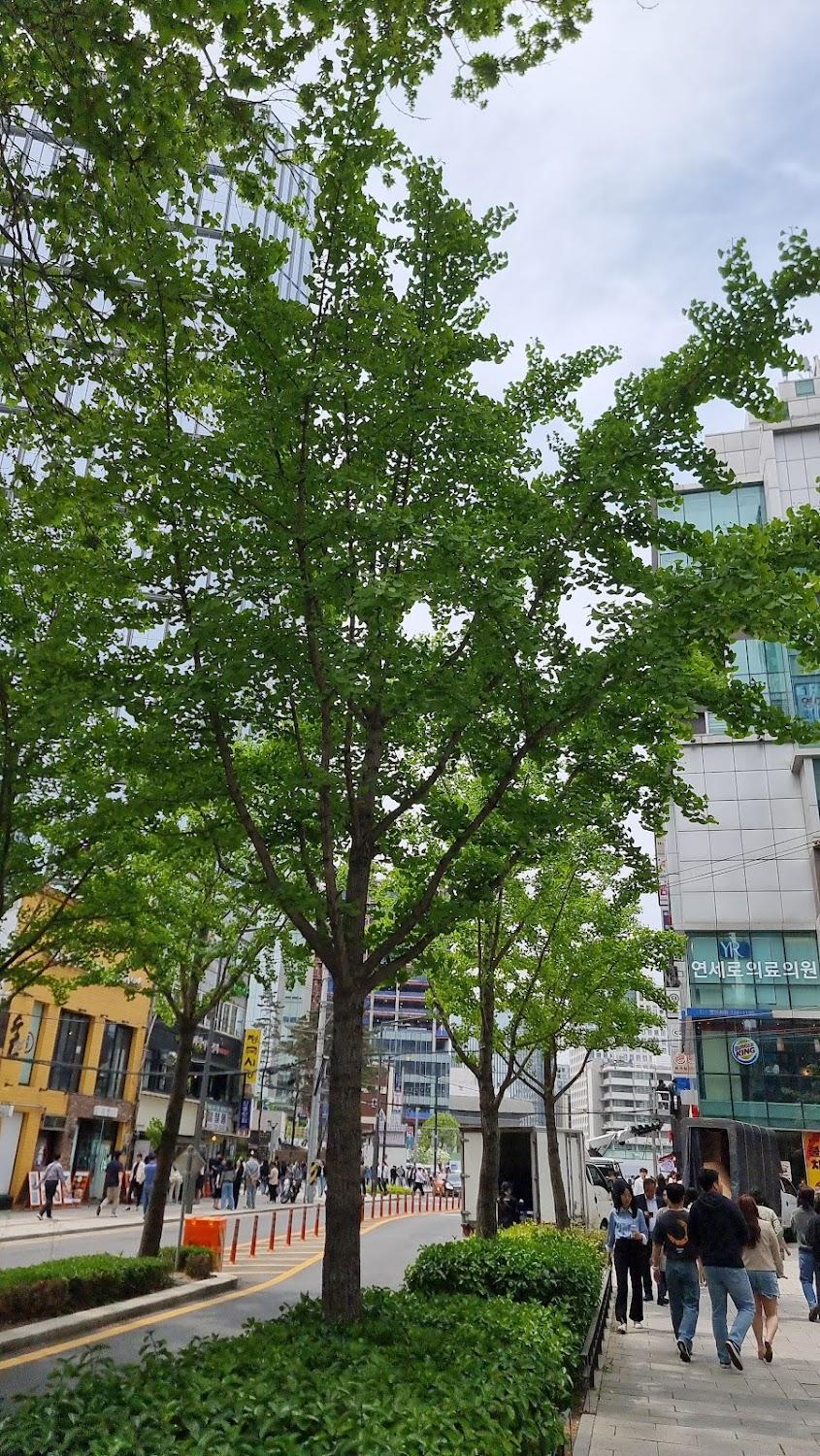 Cover Image for 종각스테이