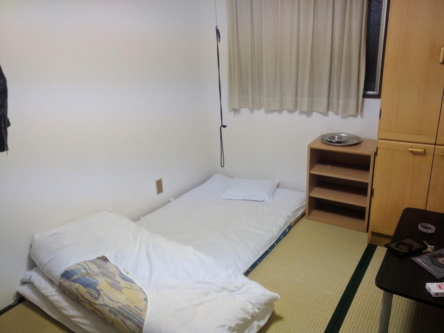 Cover Image for Hotel Hatsune