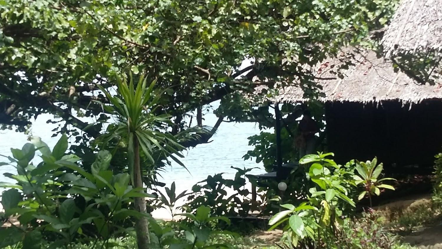 Cover Image for Goldkey Resort