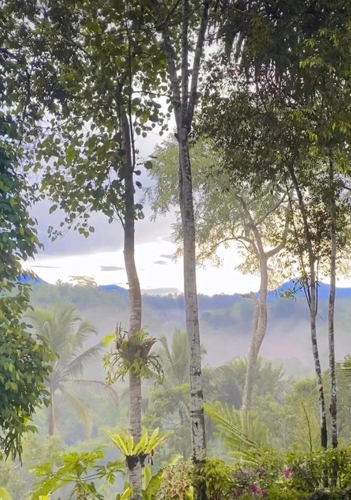 Cover Image for Nang Taro Homestay