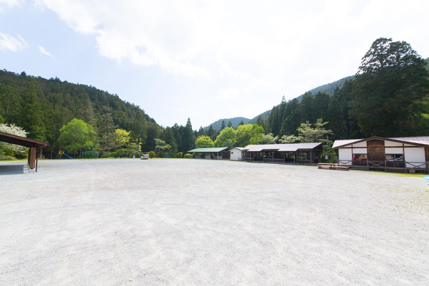 Cover Image for Forest In Dorogawa Campsite