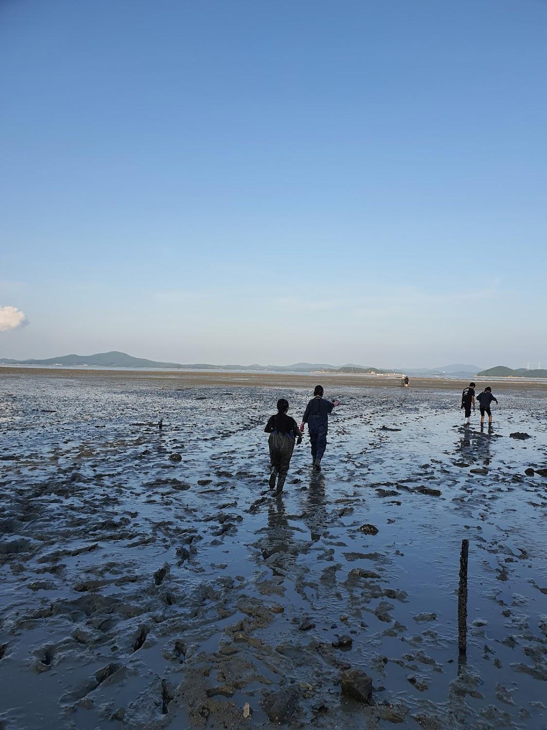 Cover Image for 쏠플레오펜션