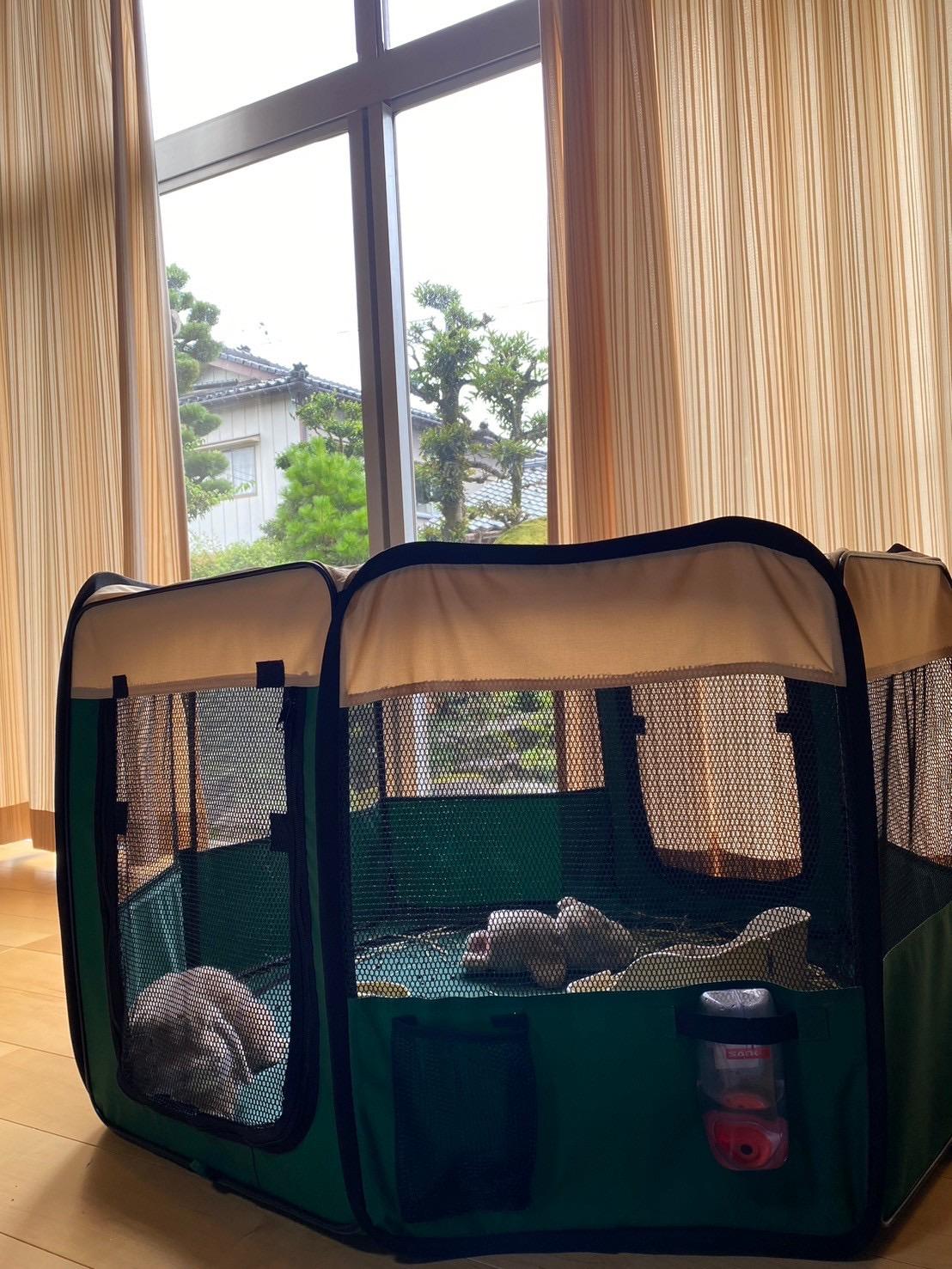 Cover Image for Hotel Kusatsu