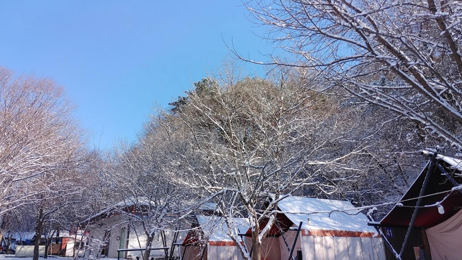 Cover Image for 글램핑클럽레스피아 포천백운계곡