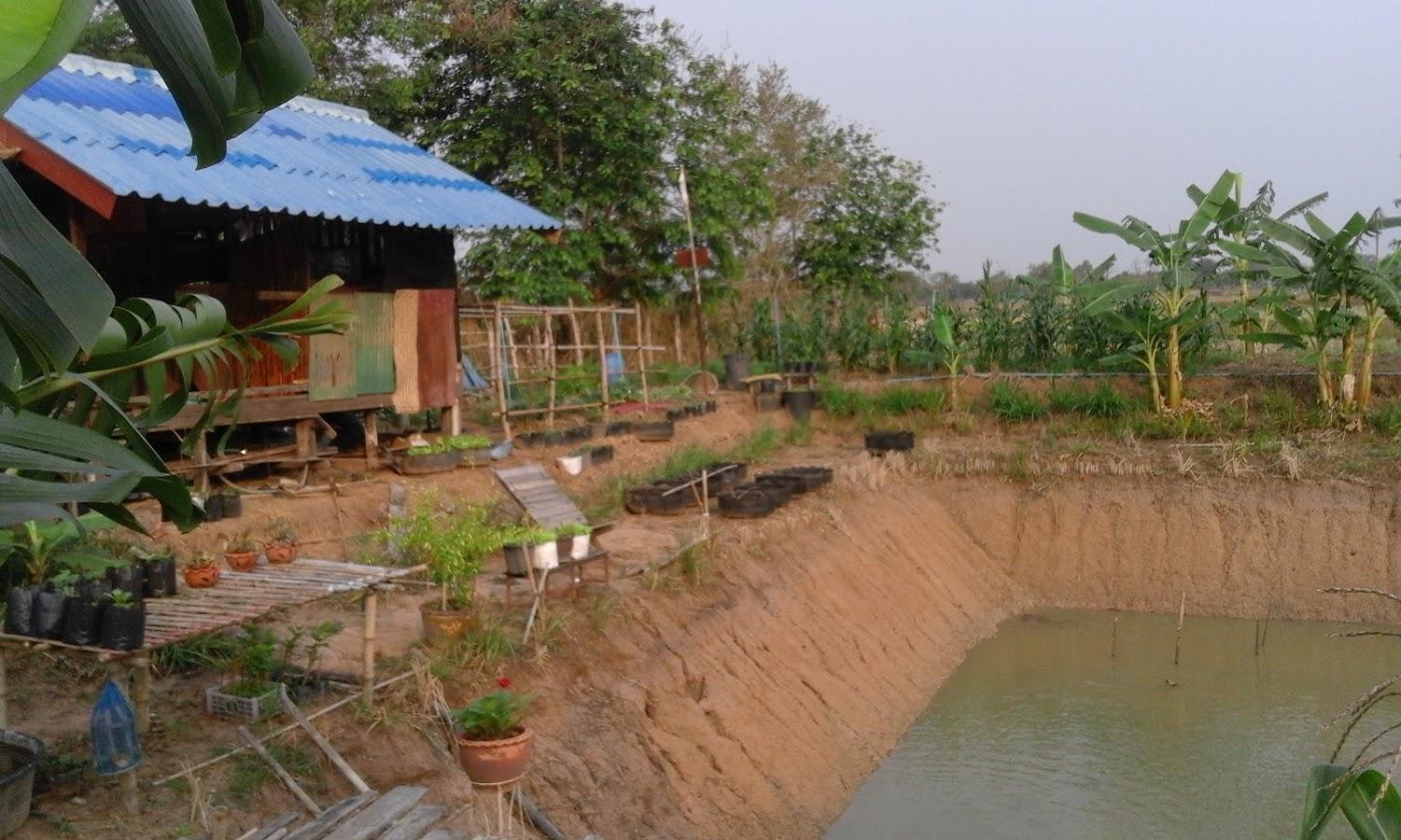 Cover Image for สวนสนรีสอร์ท