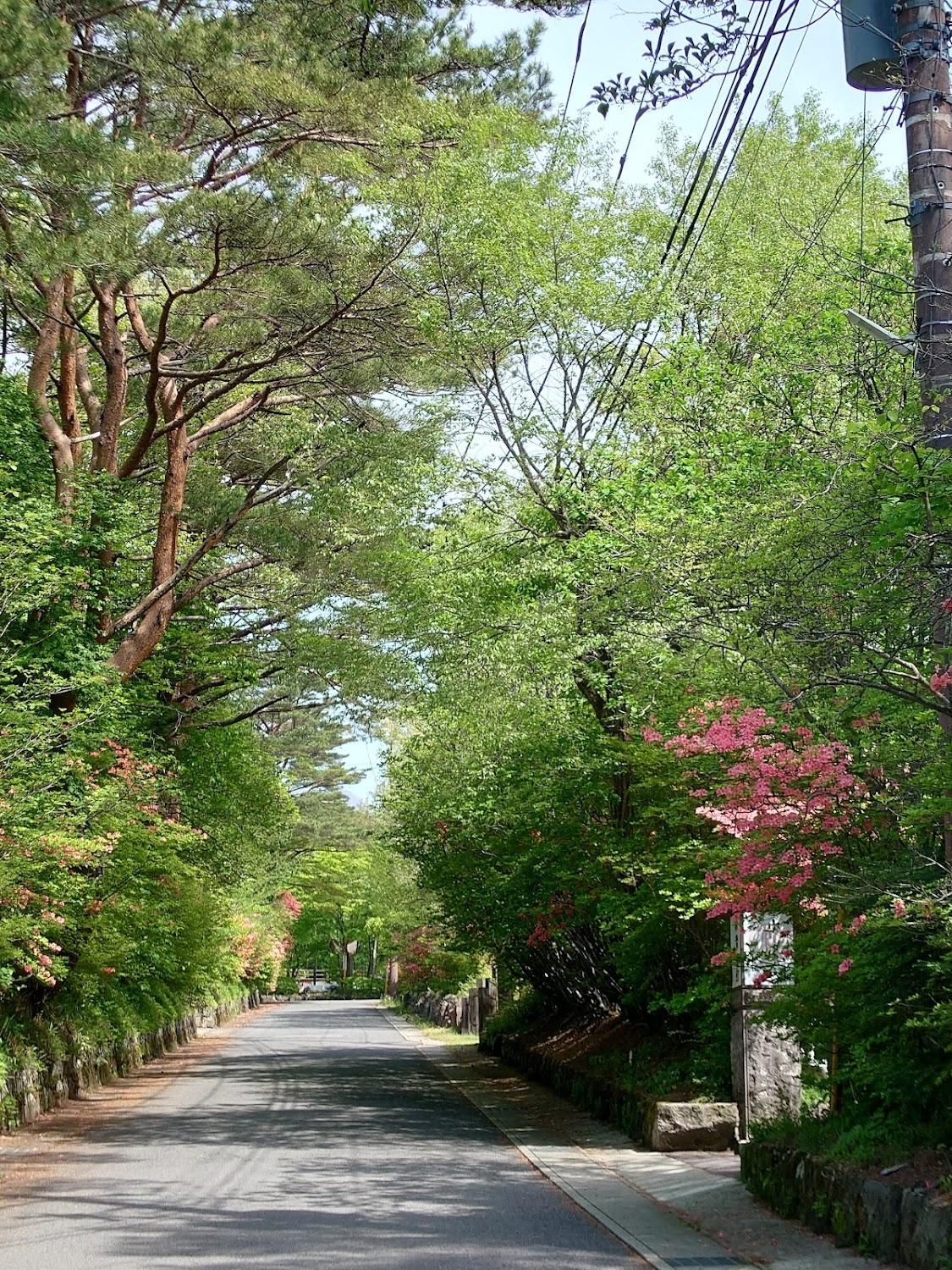Cover Image for Sandansu Resort Nasu
