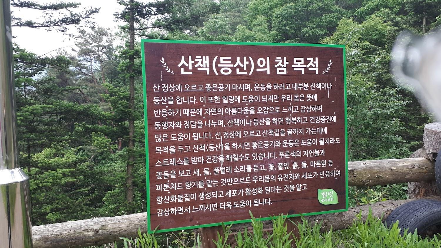 Cover Image for 홍천힐링캠프장