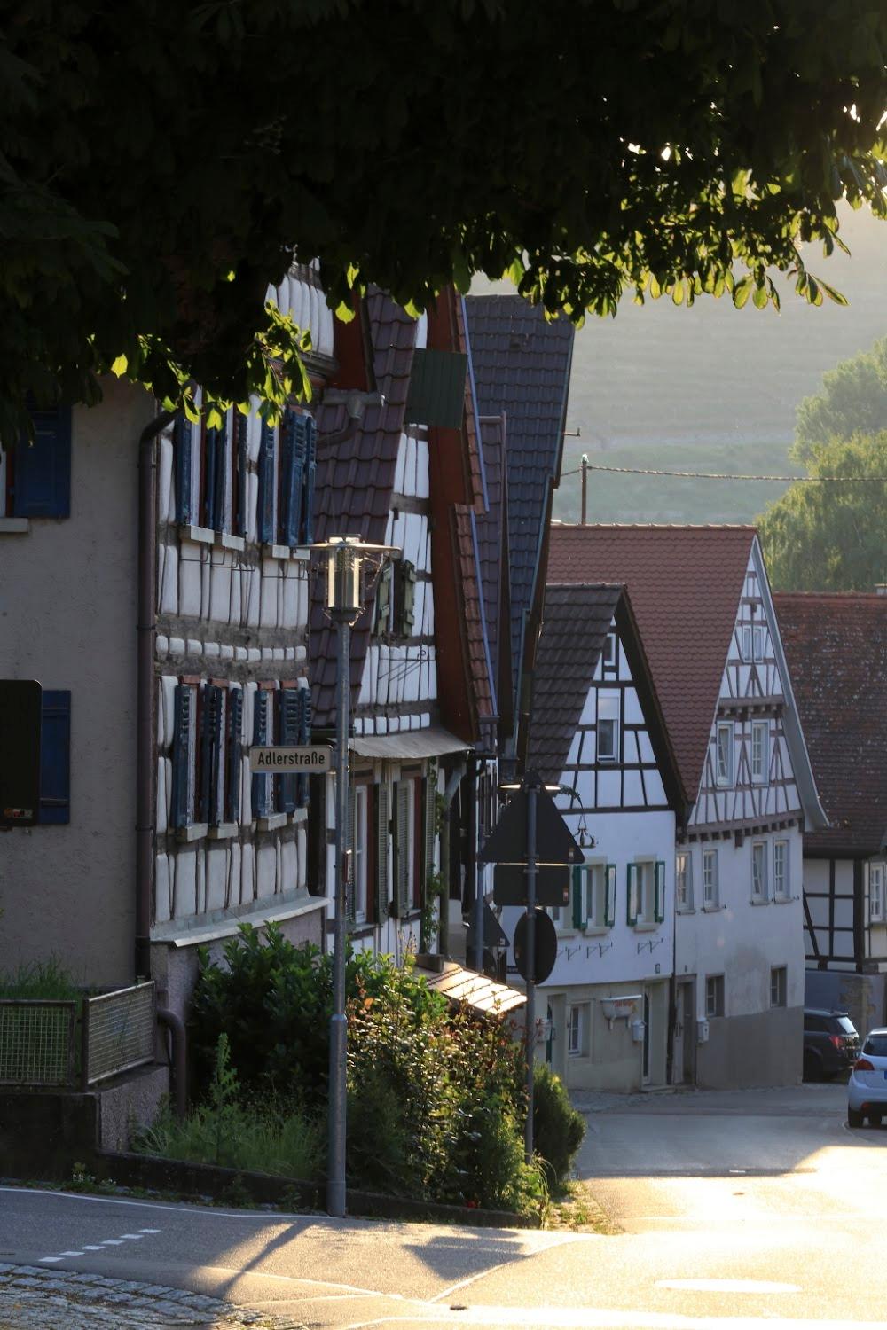 Cover Image for Landidyll Hotel Lamm Horrheim