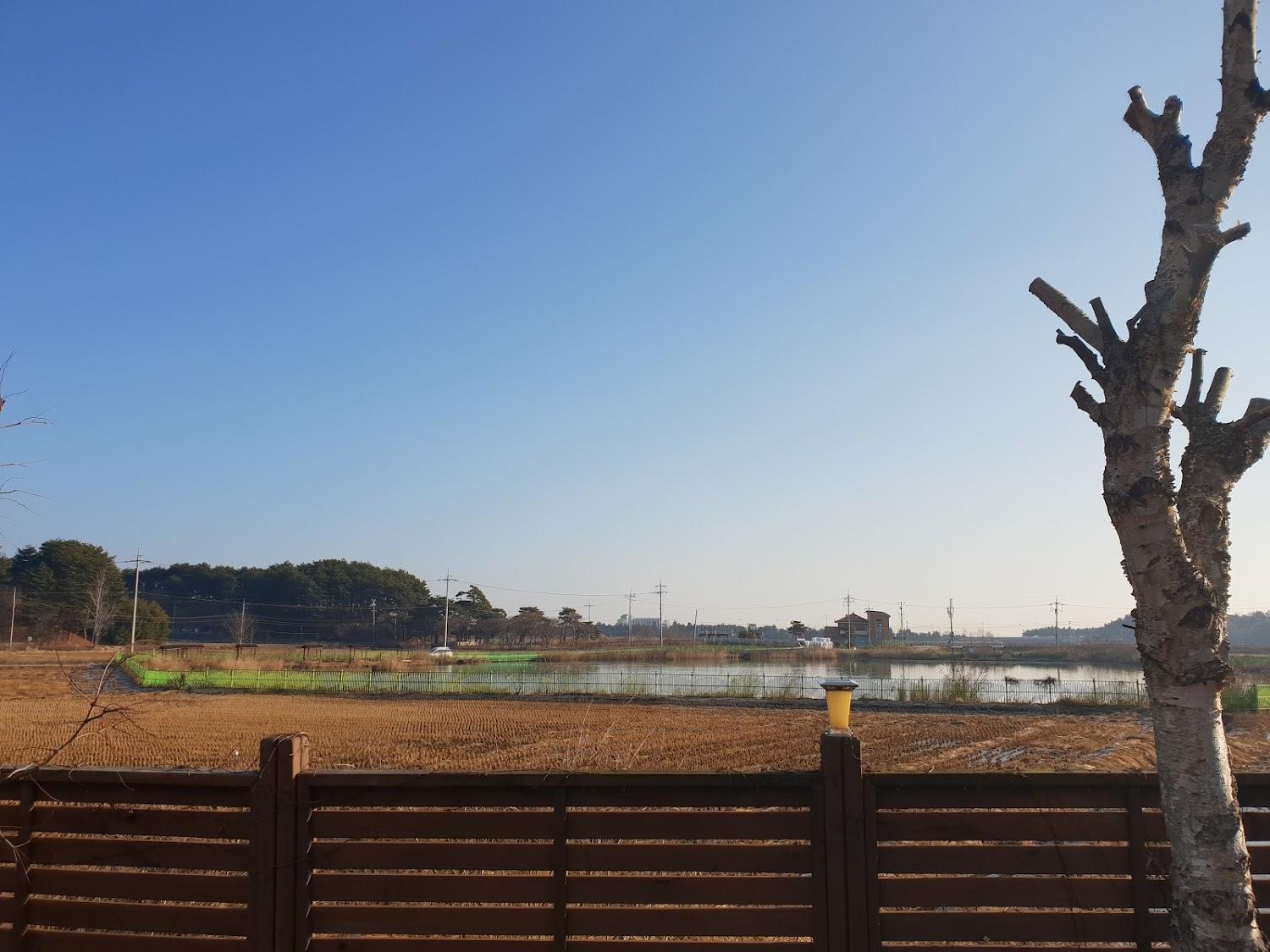 Cover Image for Gangneung Golden Bell Pension